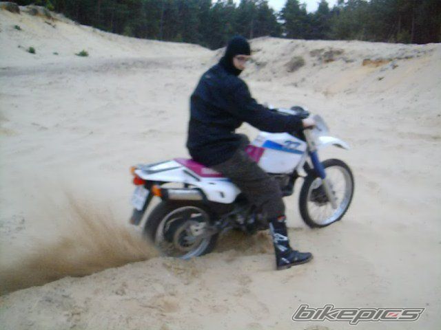 Photo 2003303