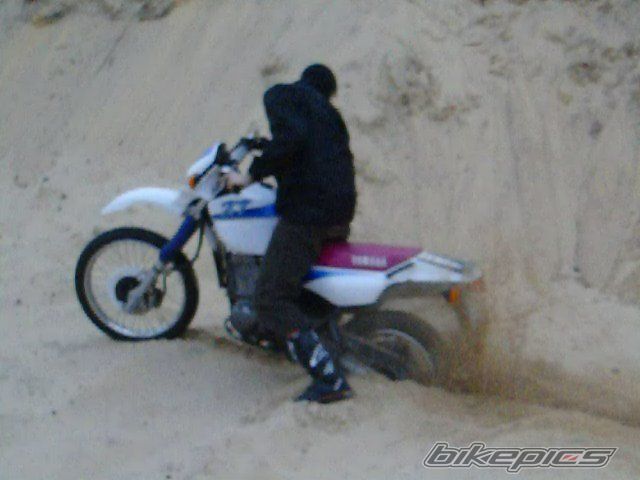 Photo 2003306