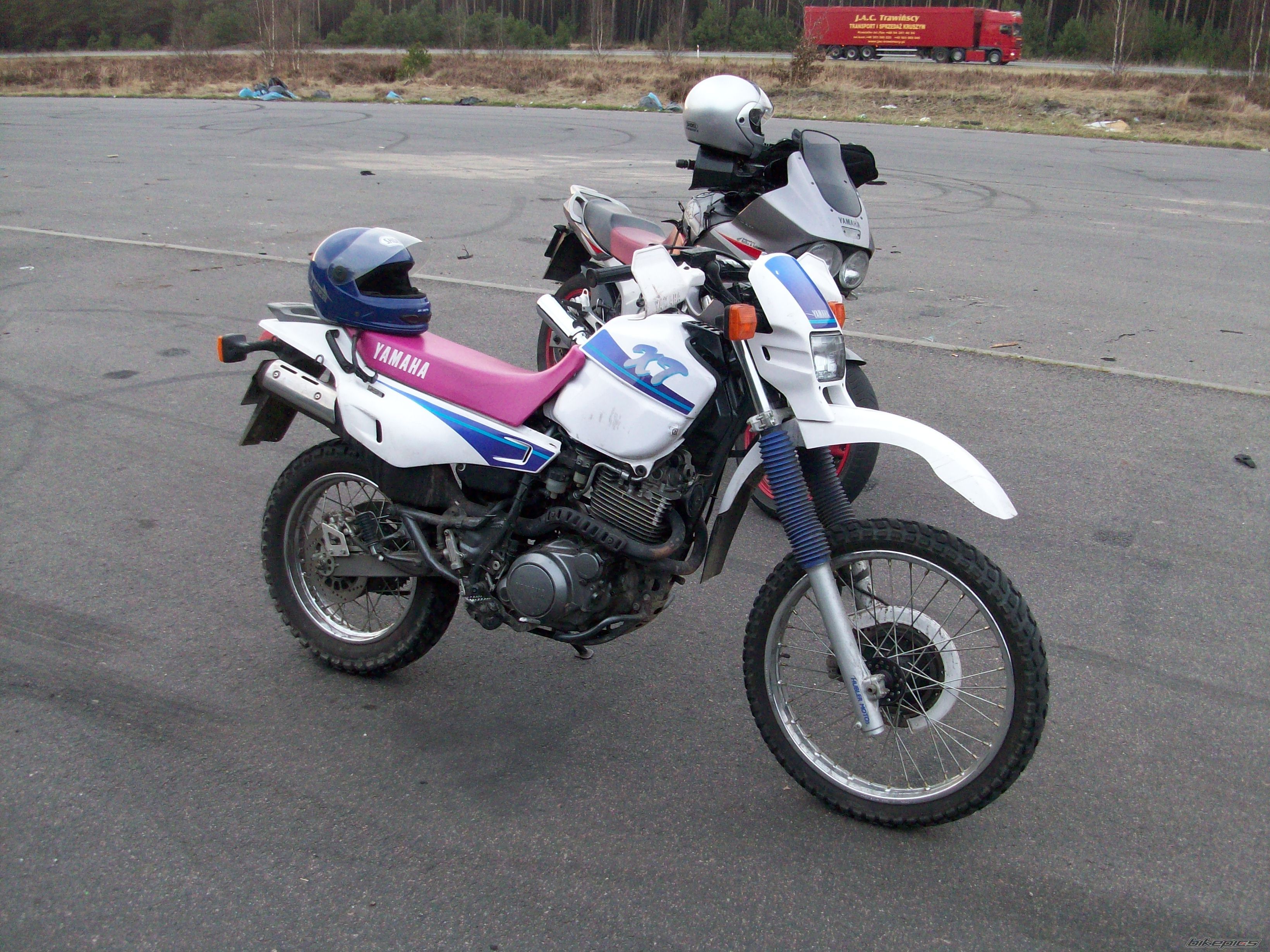 Photo 2003309