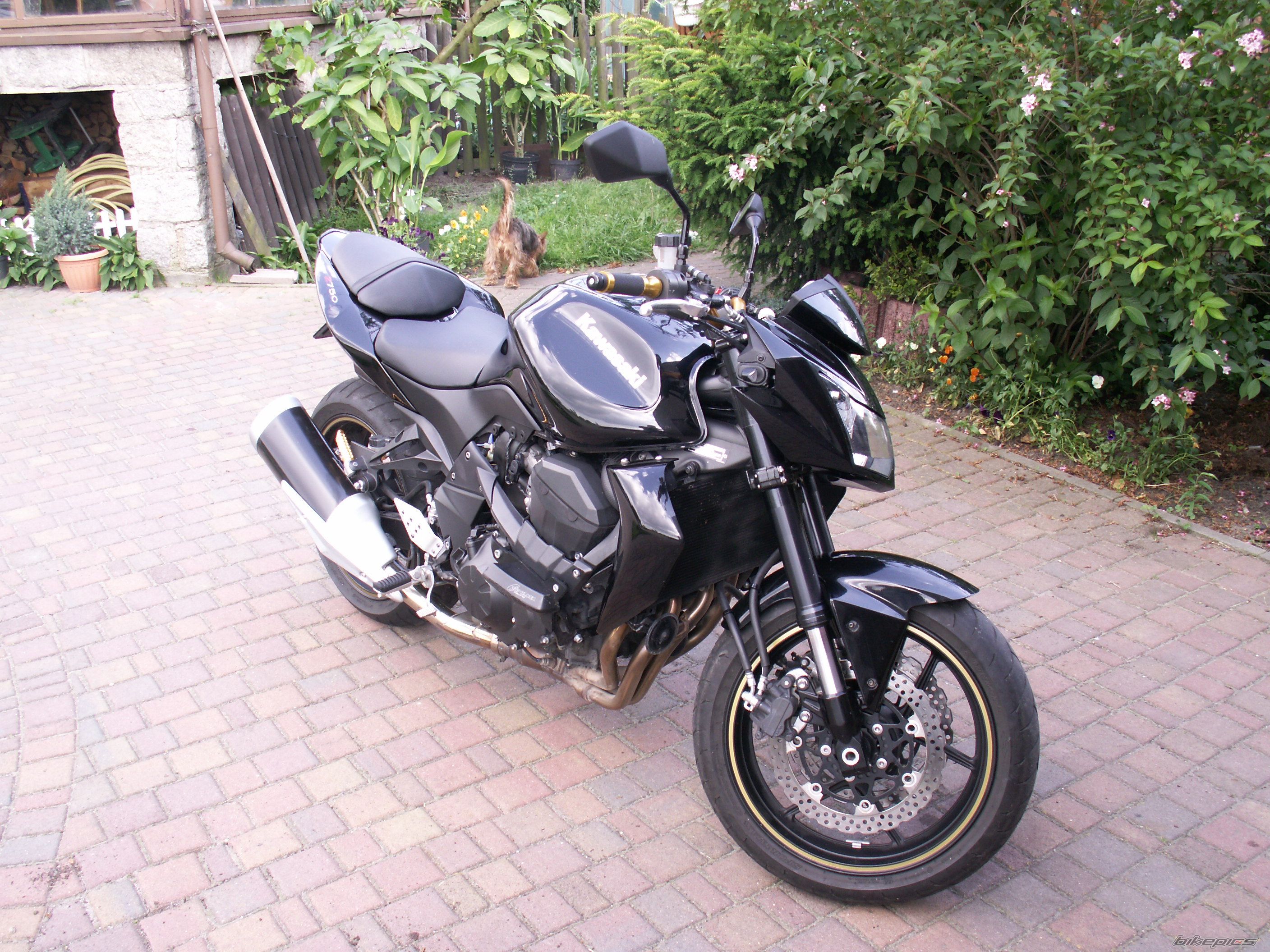 Photo 2003376