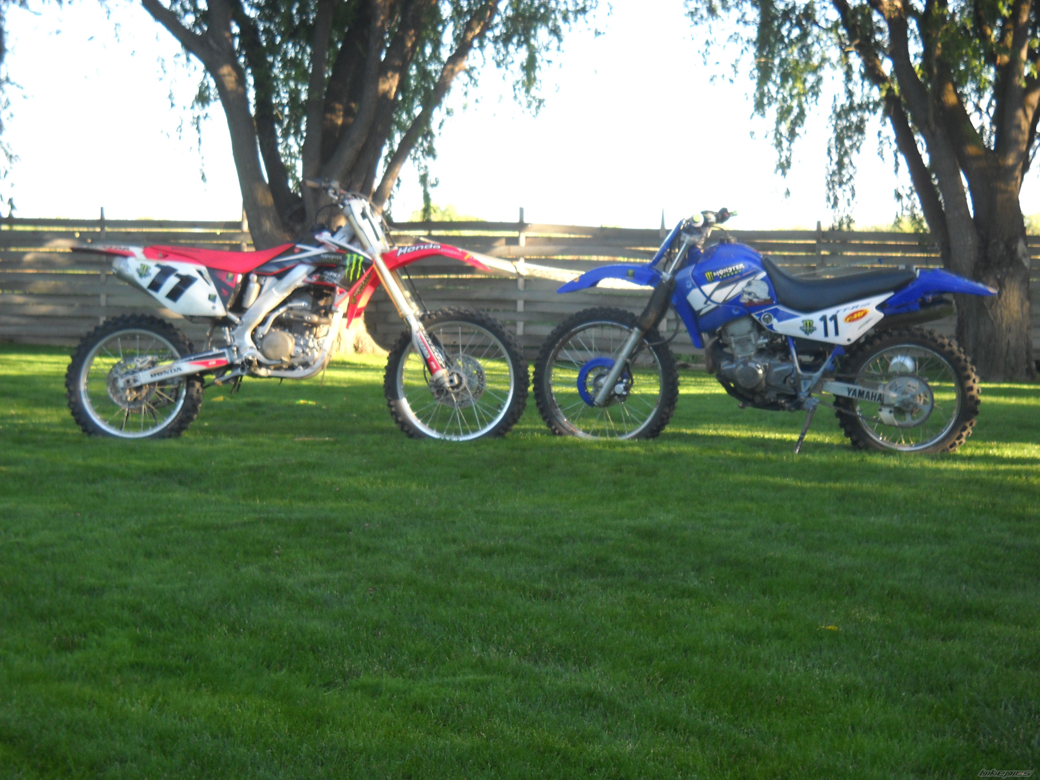 Photo 2003470