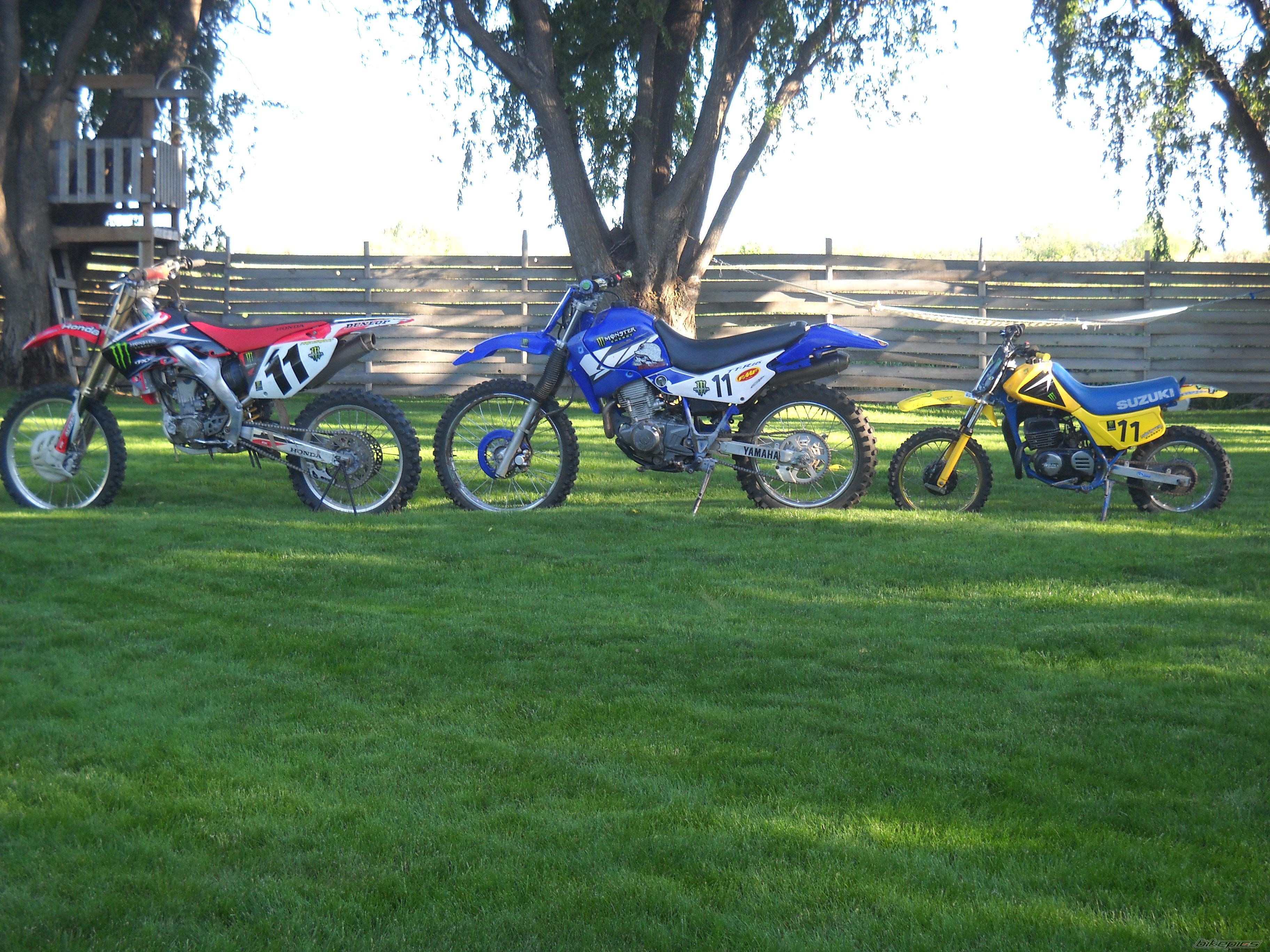 Photo 2003476