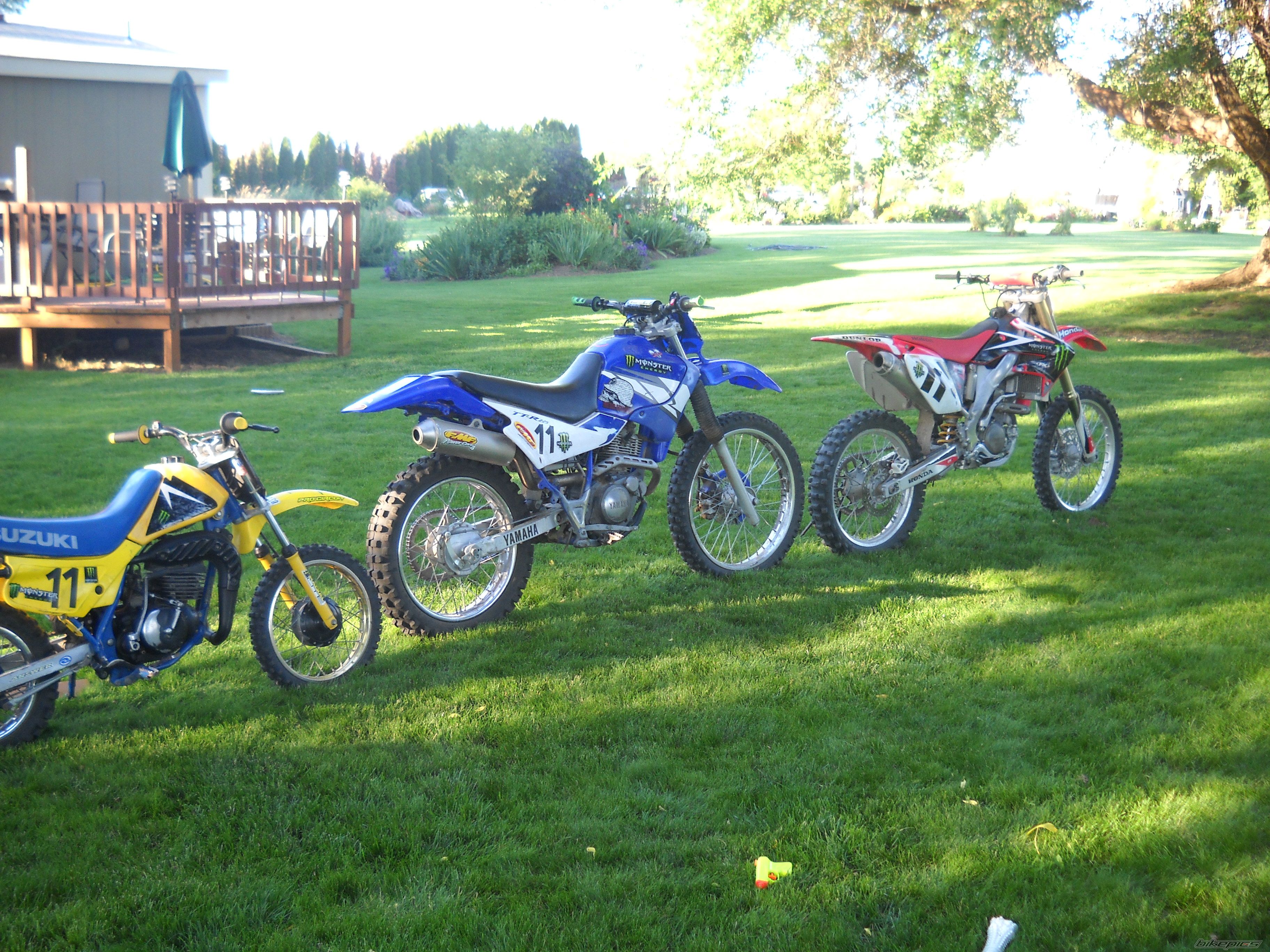 Photo 2003478