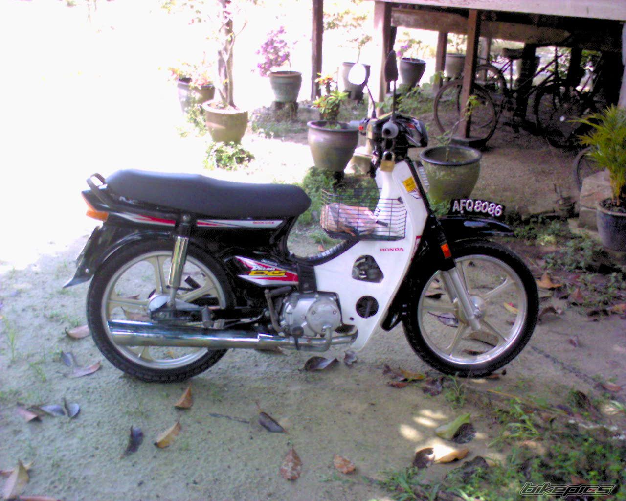 Photo 2003550