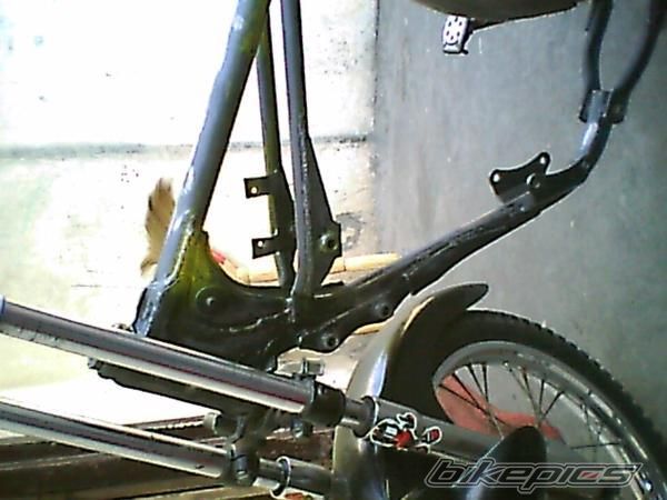 Photo 2003561