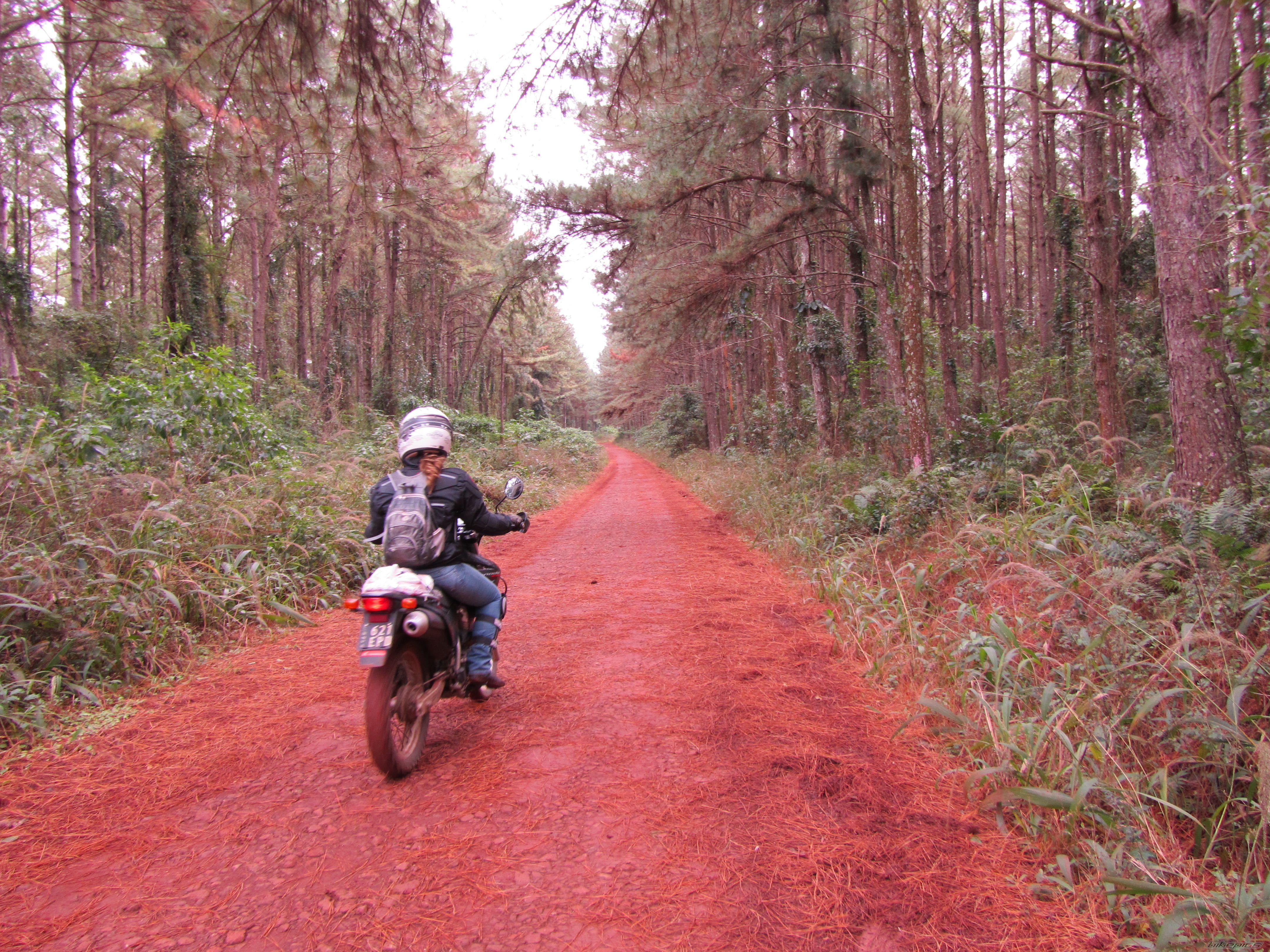 Photo 2003601