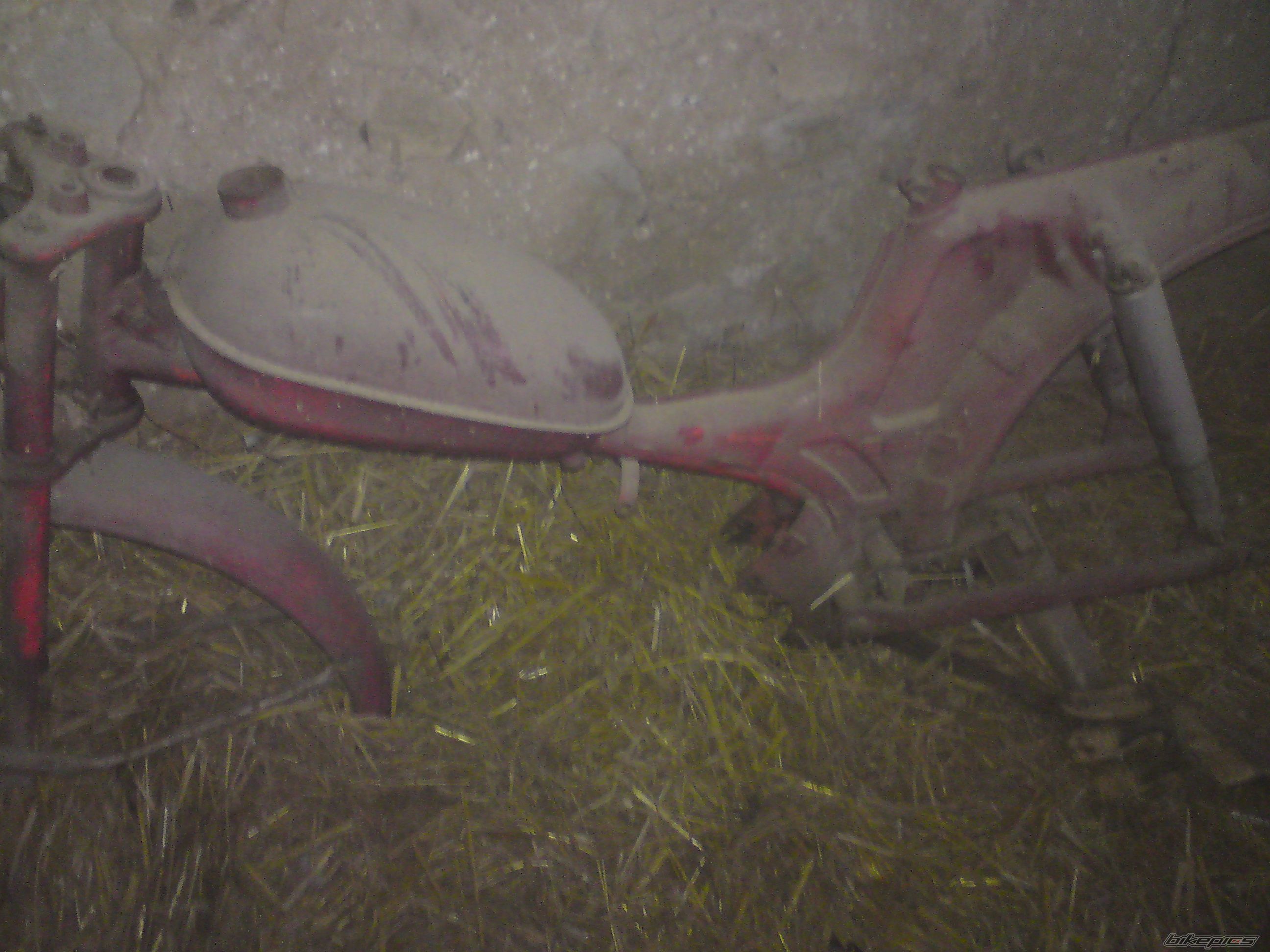 Photo 2003685