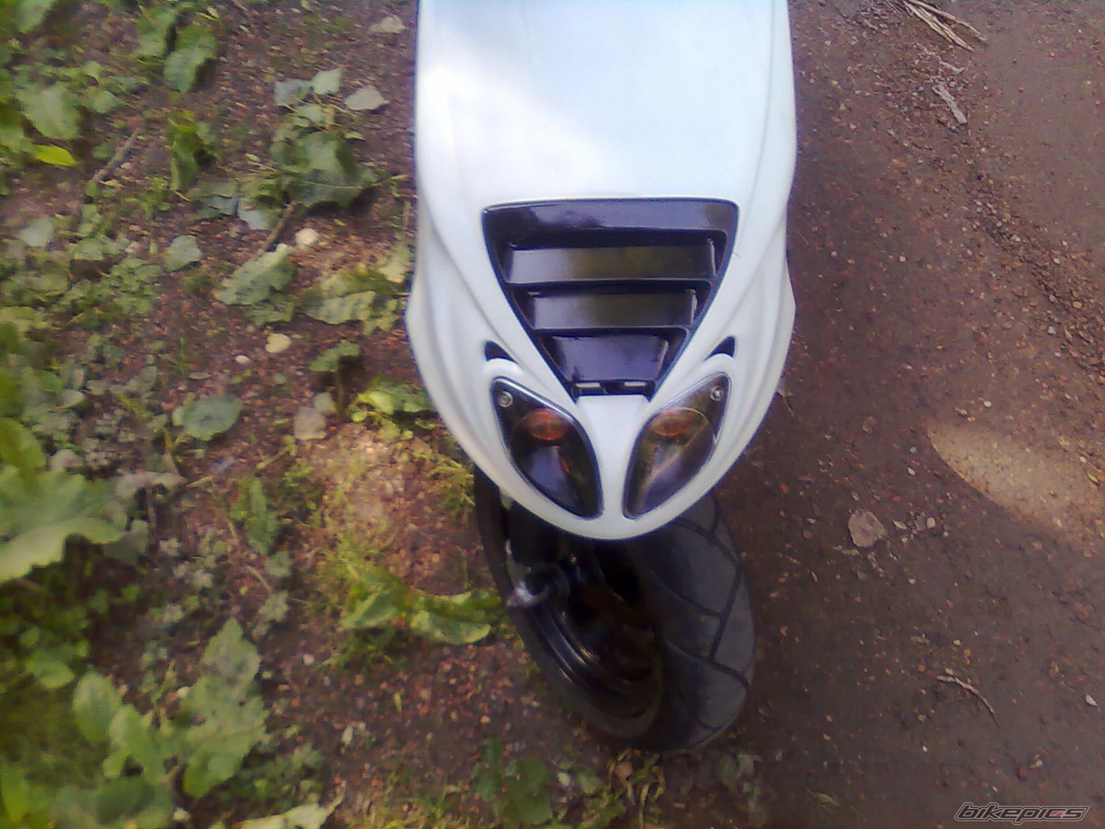 Photo 2003702