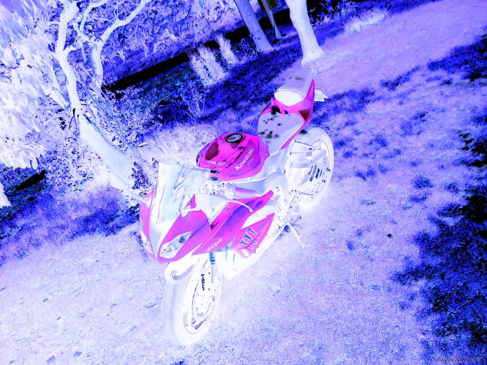 Bike Photo 2003738