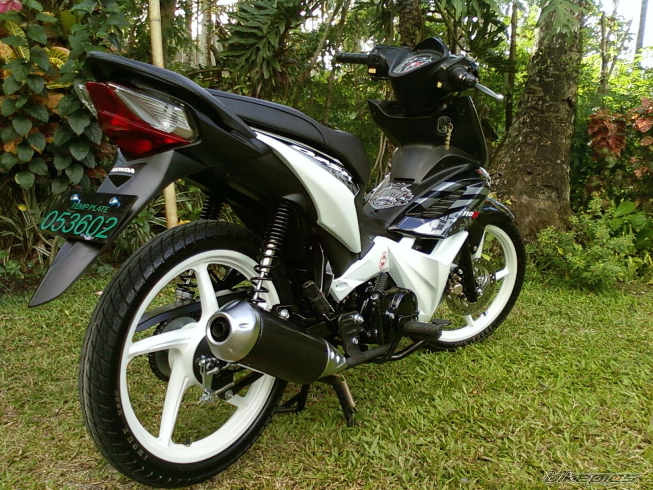 Photo 2003768