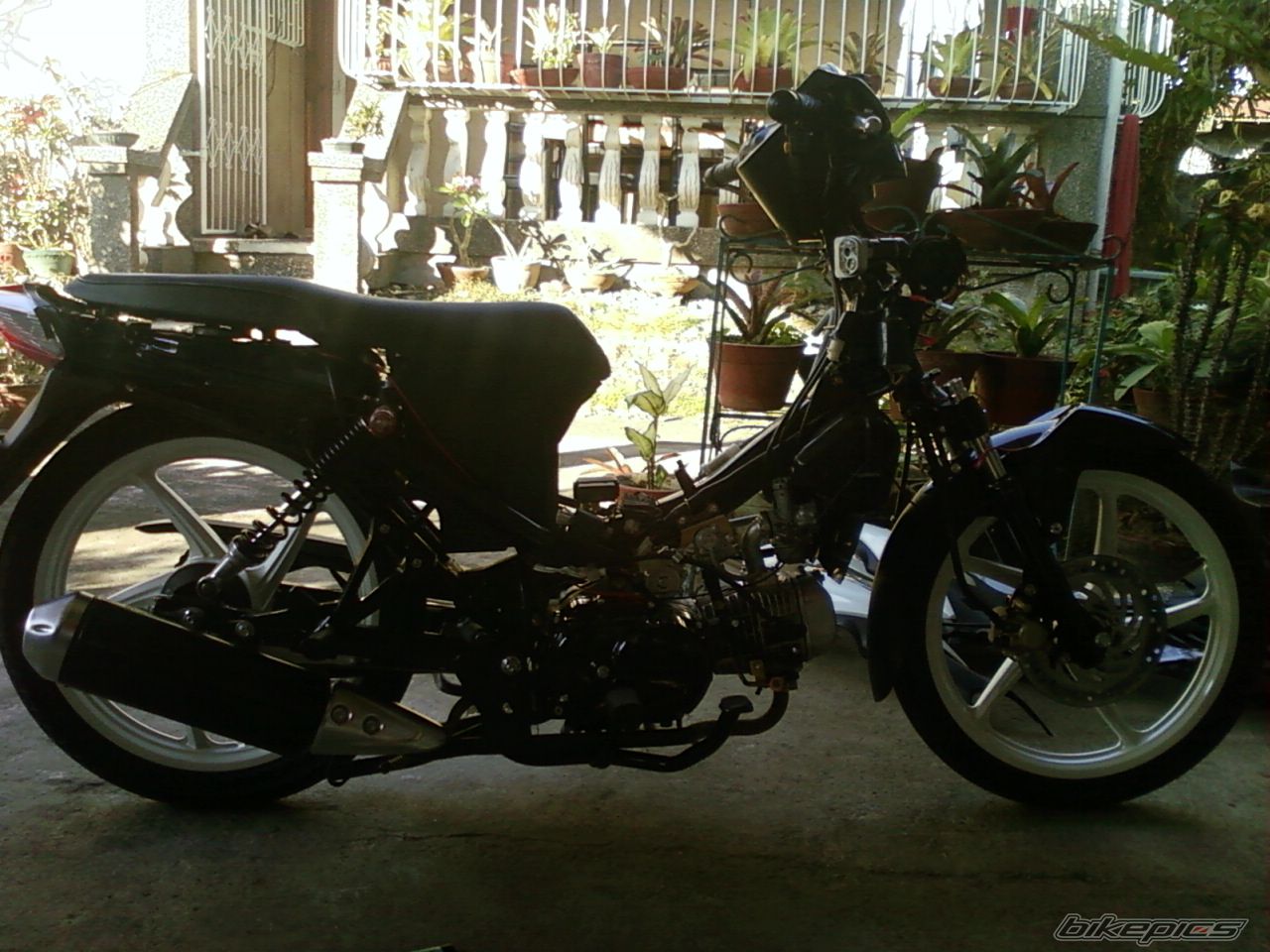 Photo 2003771