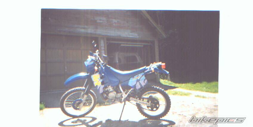Photo 200378