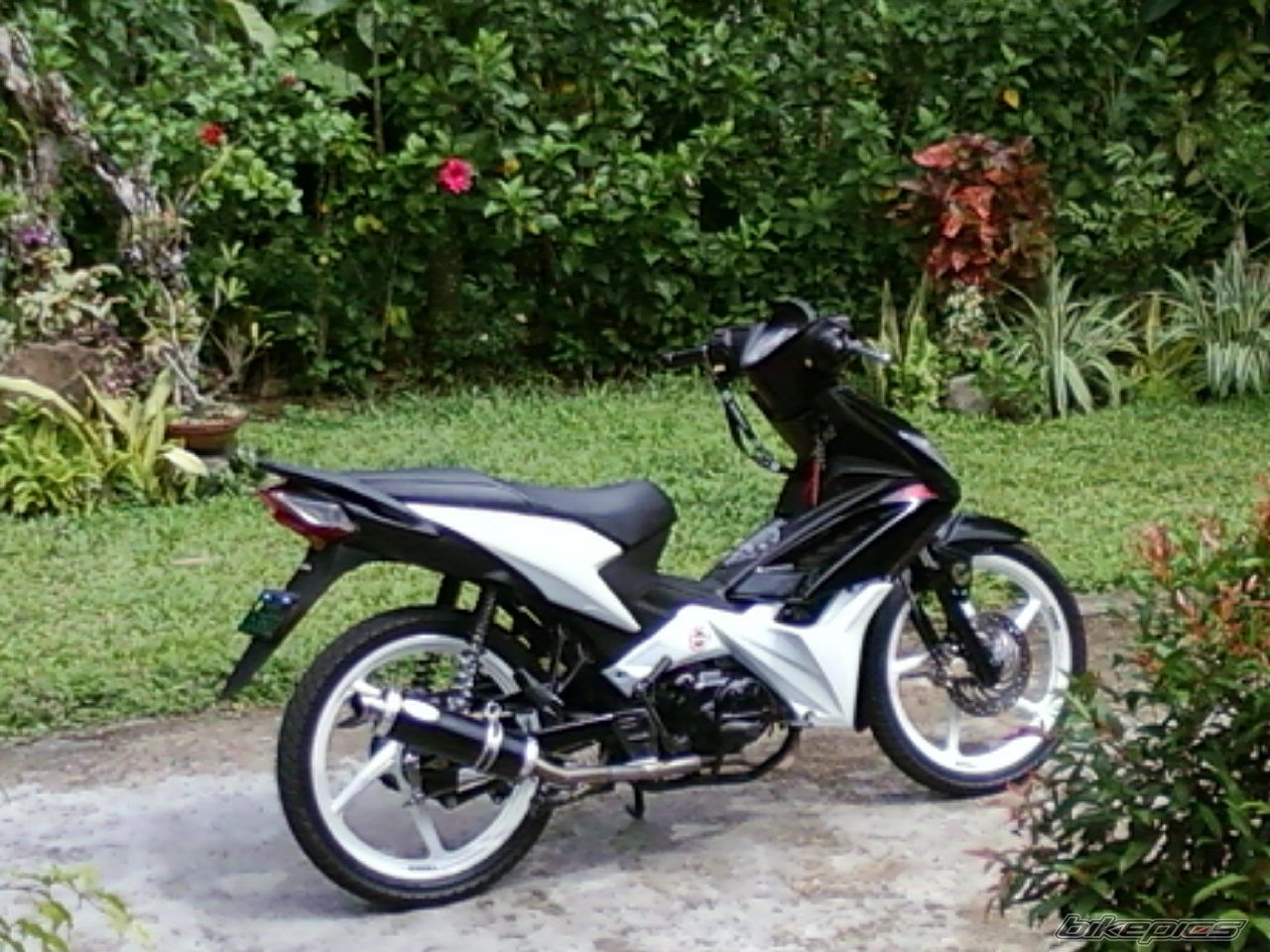 Photo 2003800
