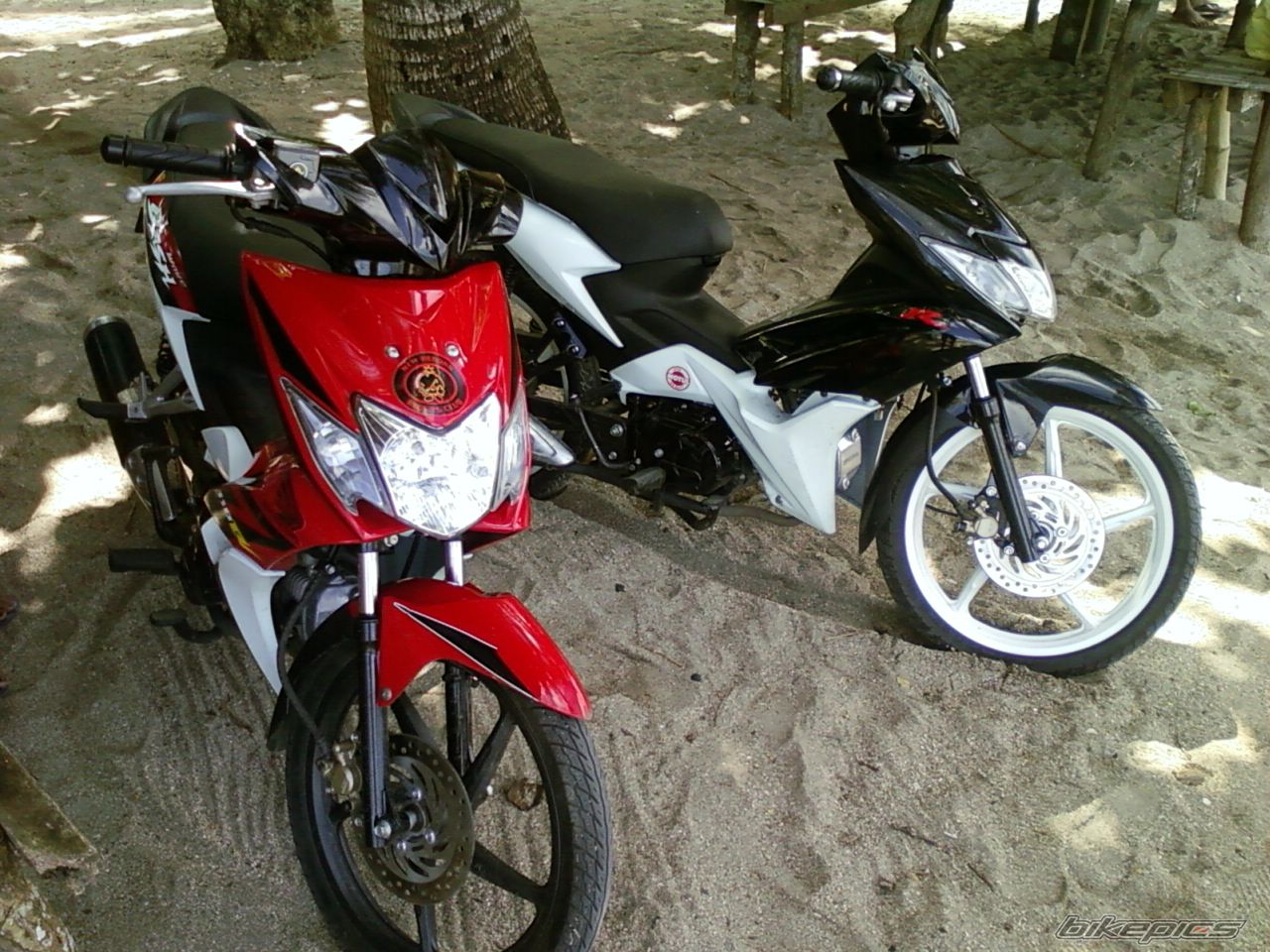 Photo 2003808