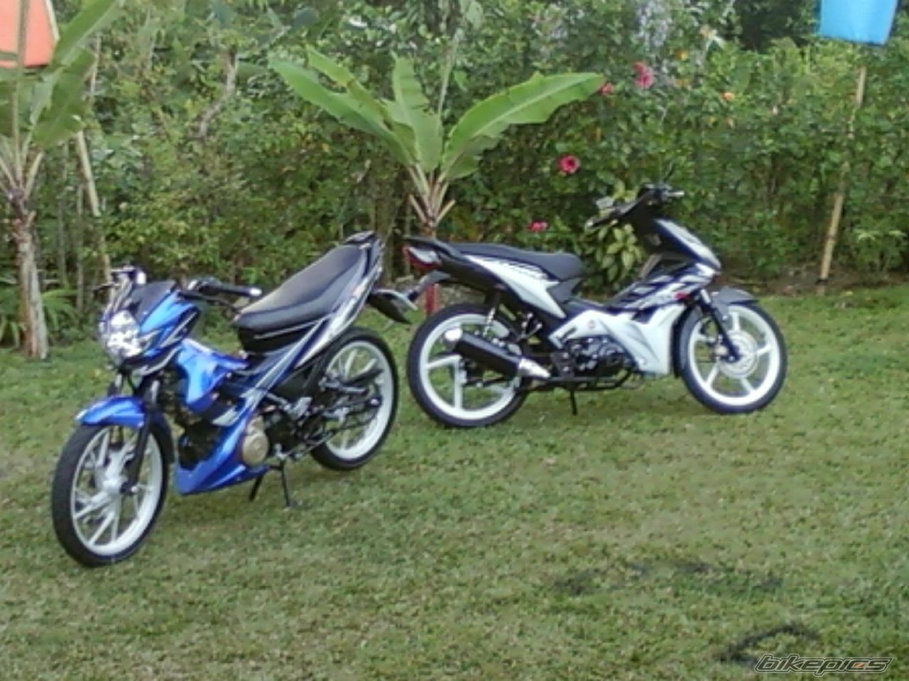 Photo 2003810