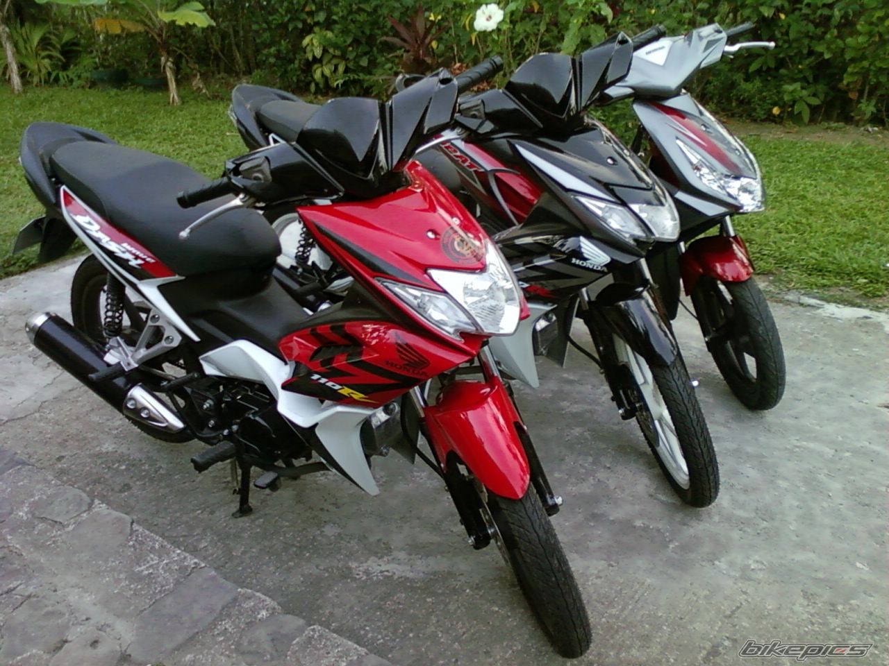 Photo 2003811