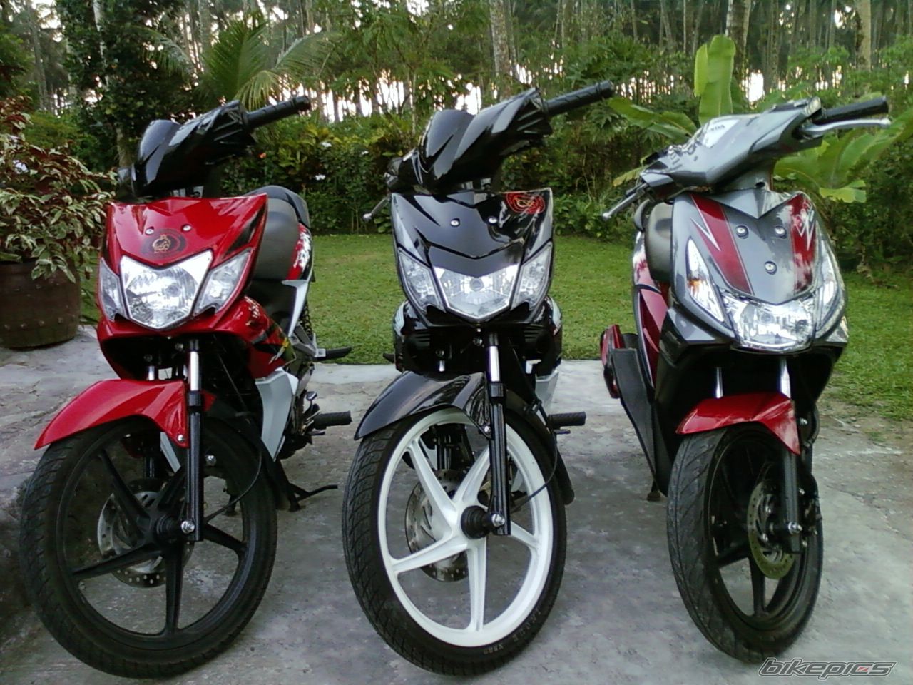 Photo 2003814