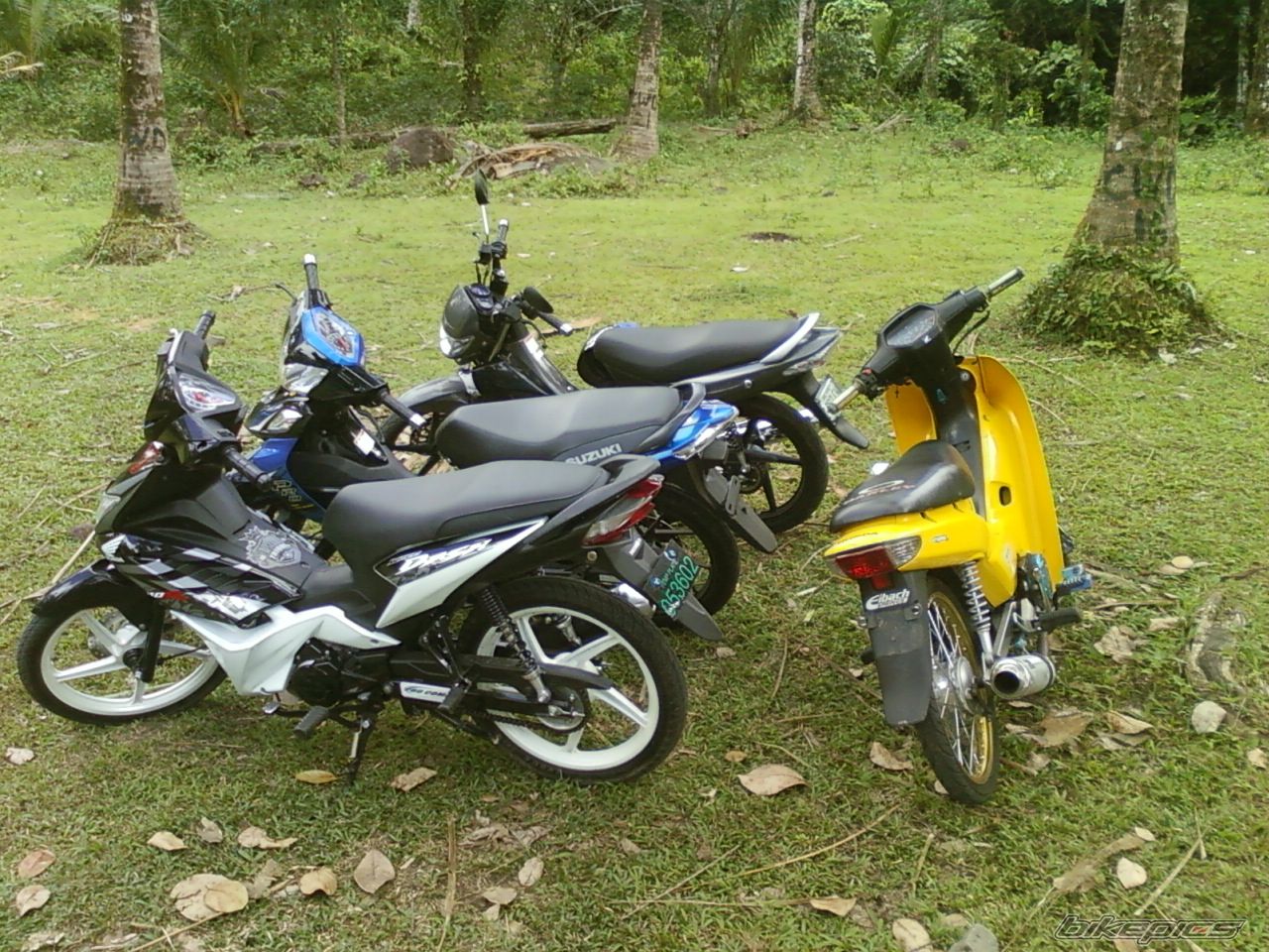 Photo 2003818