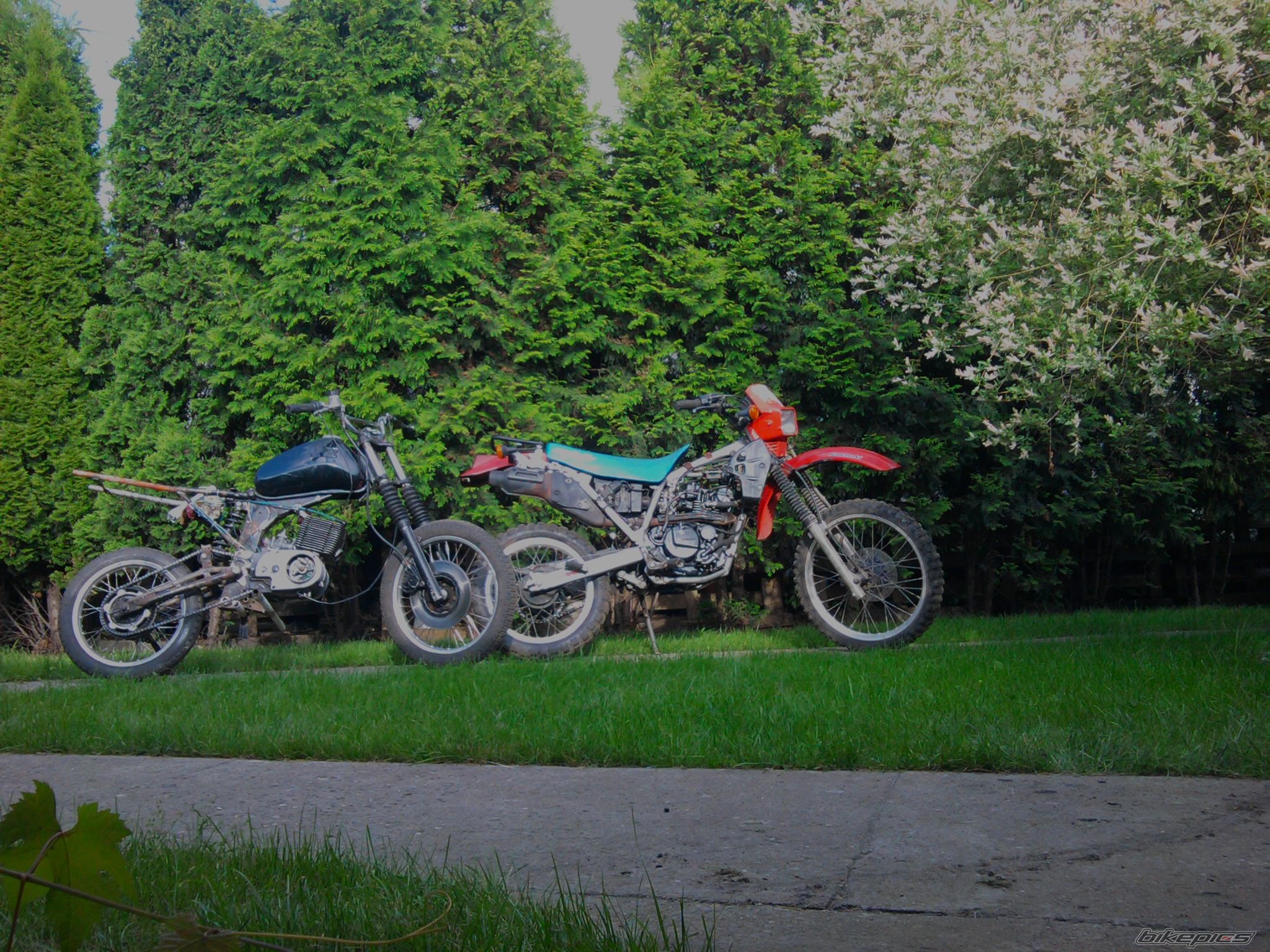Photo 2003895
