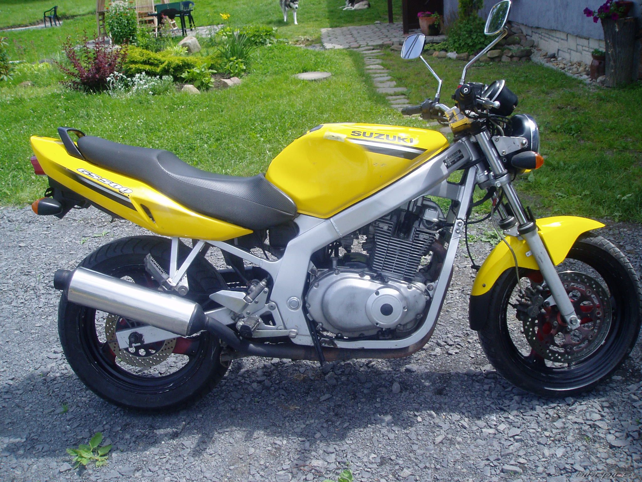 Photo 2003947
