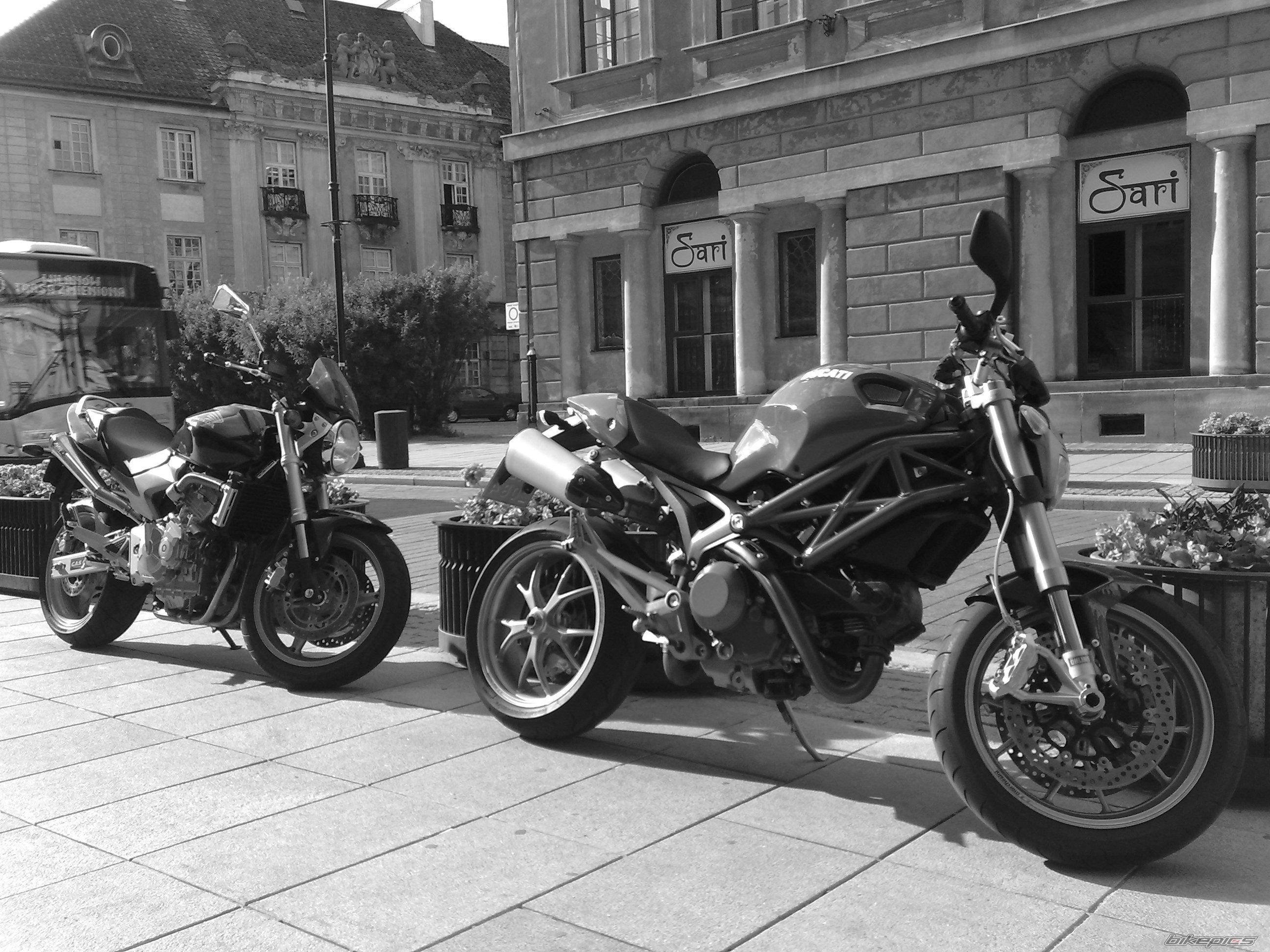 Photo 2003953