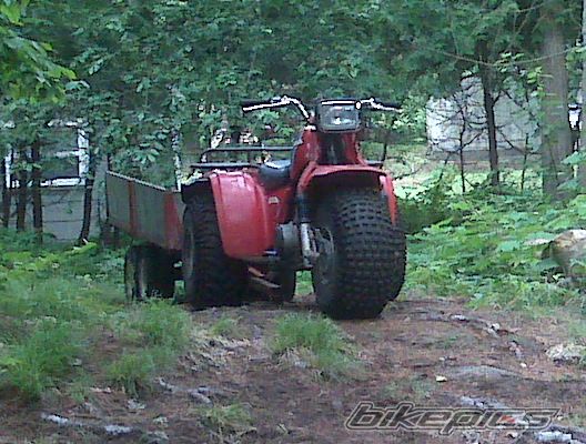 Photo 2003984