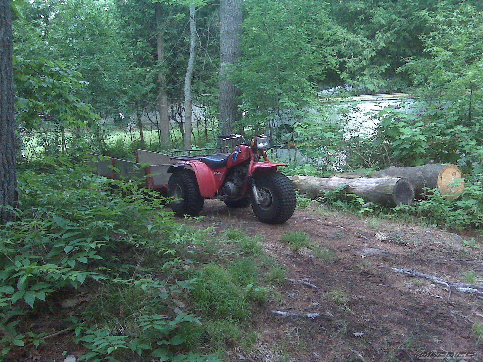 Photo 2003985