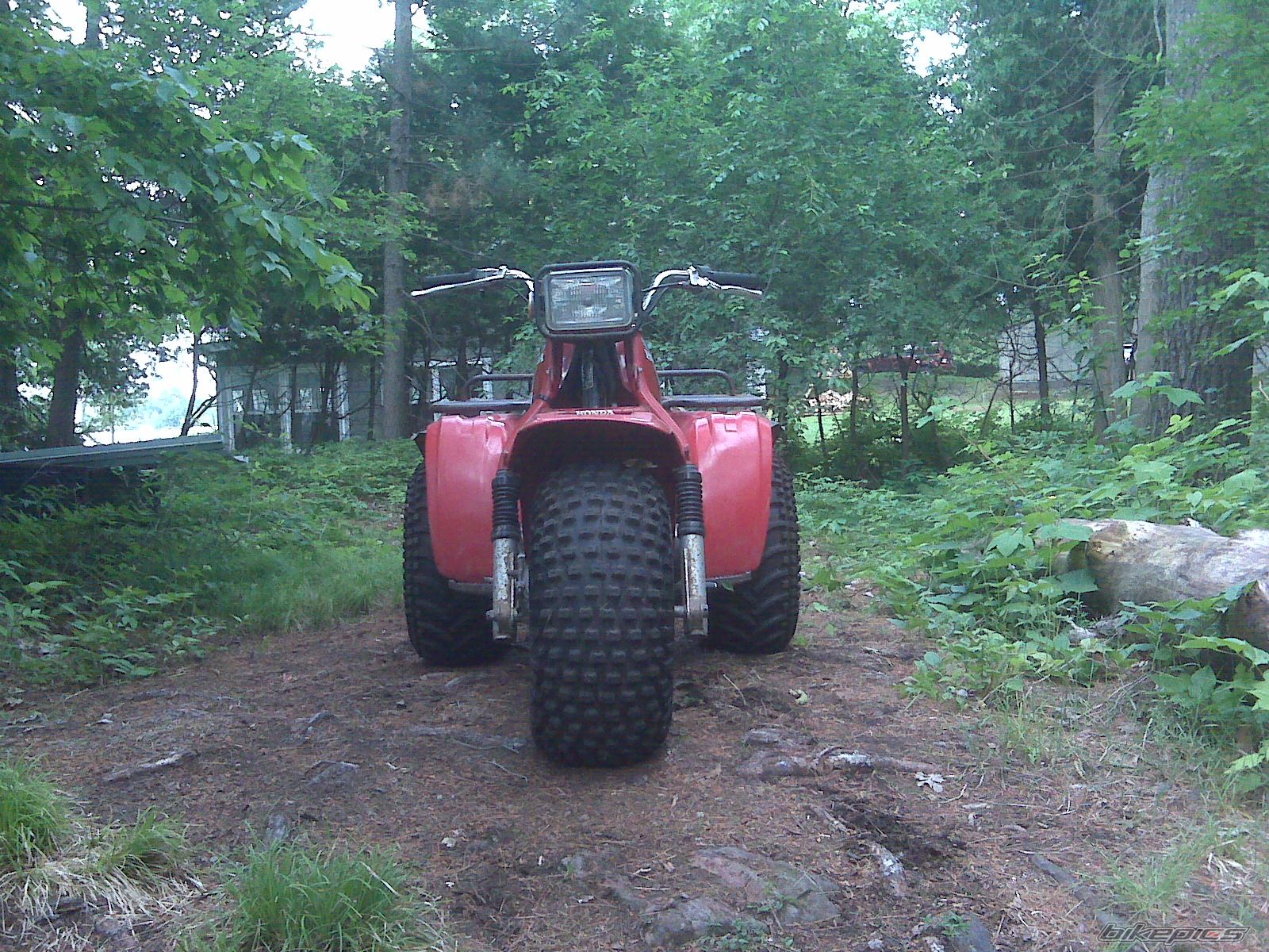 Photo 2003988