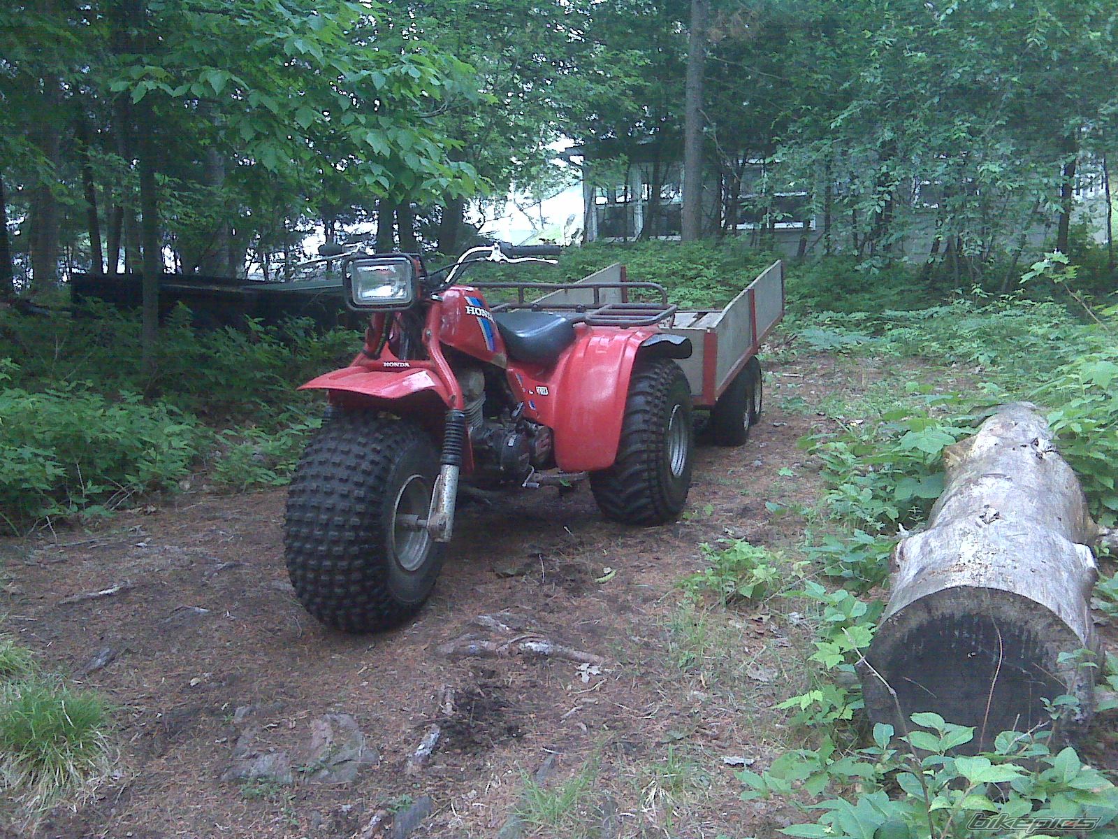 Photo 2003989