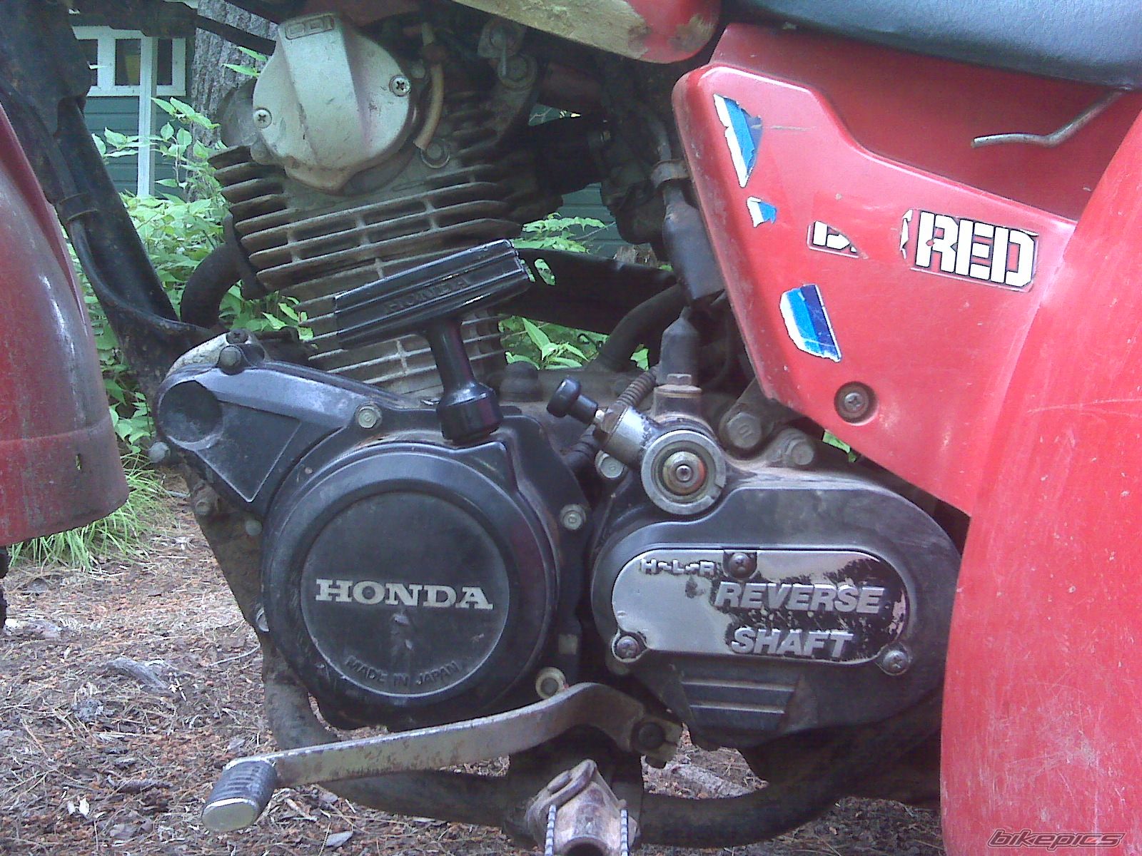 Photo 2003990