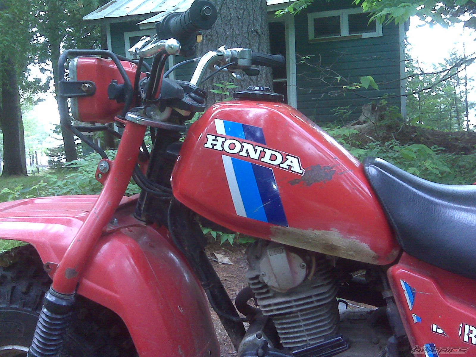 Photo 2003993