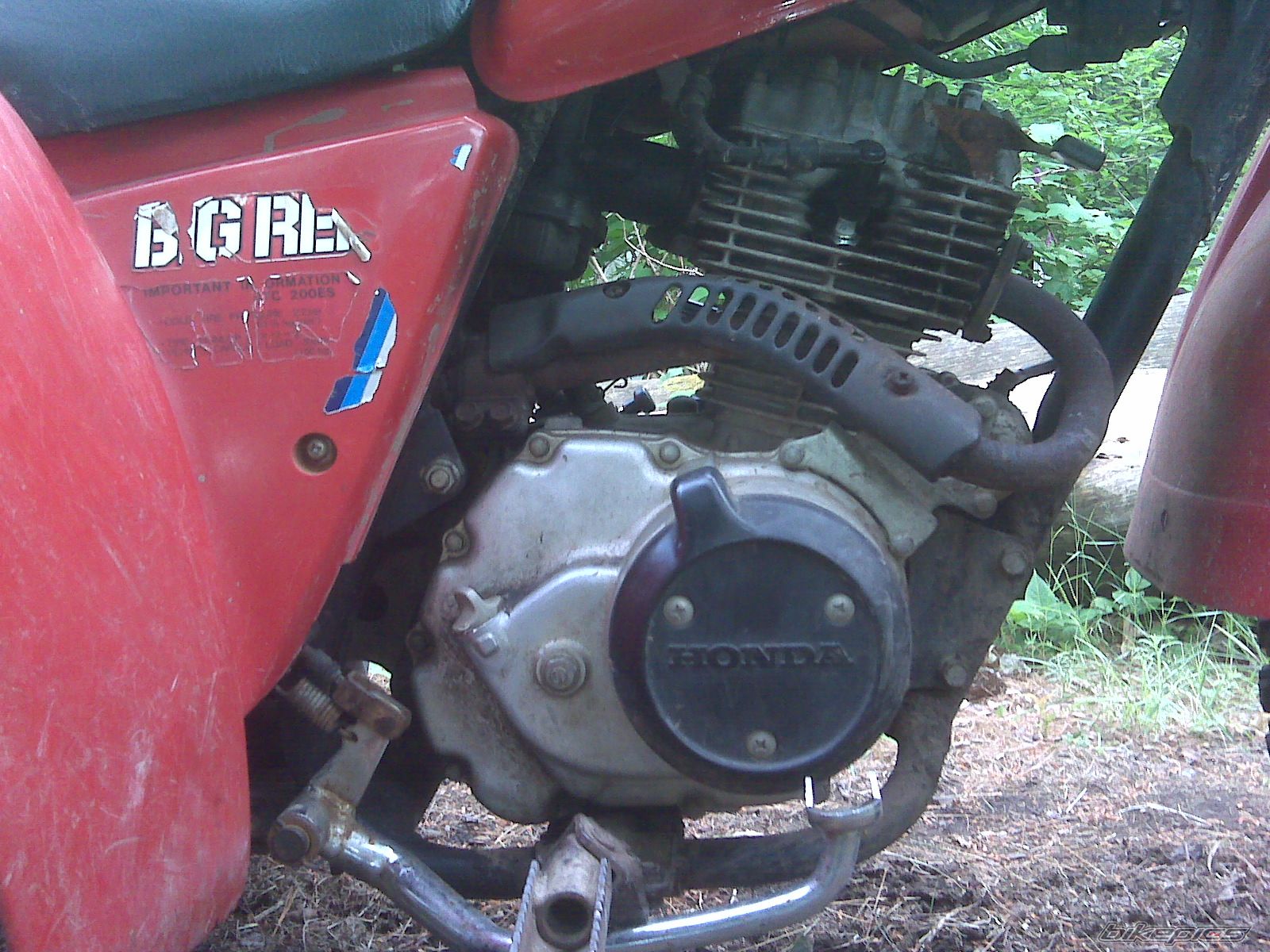 Photo 2003995