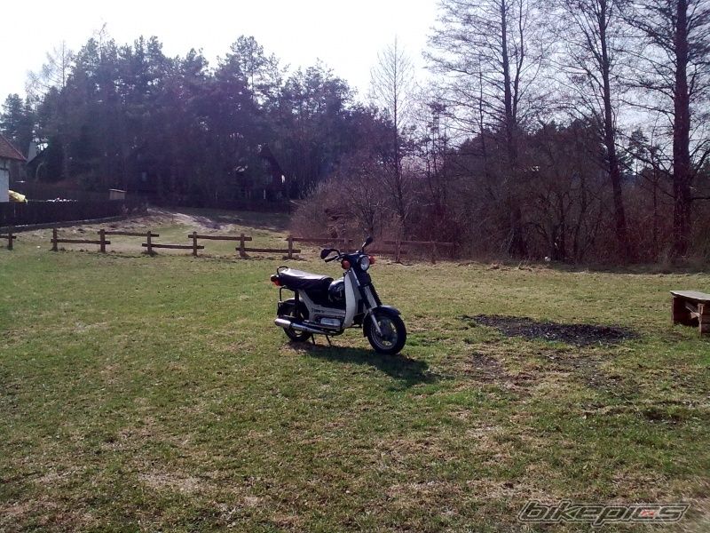 Photo 2004013