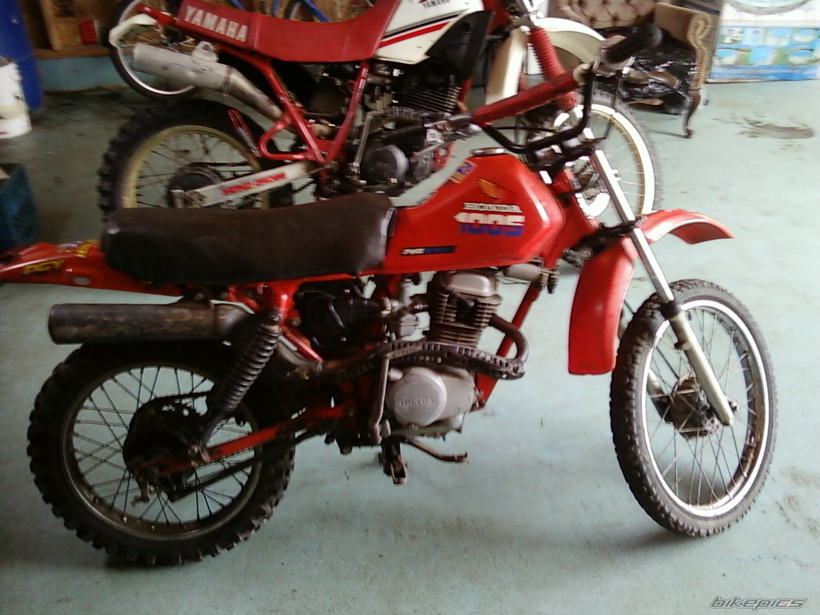 Photo 2004102