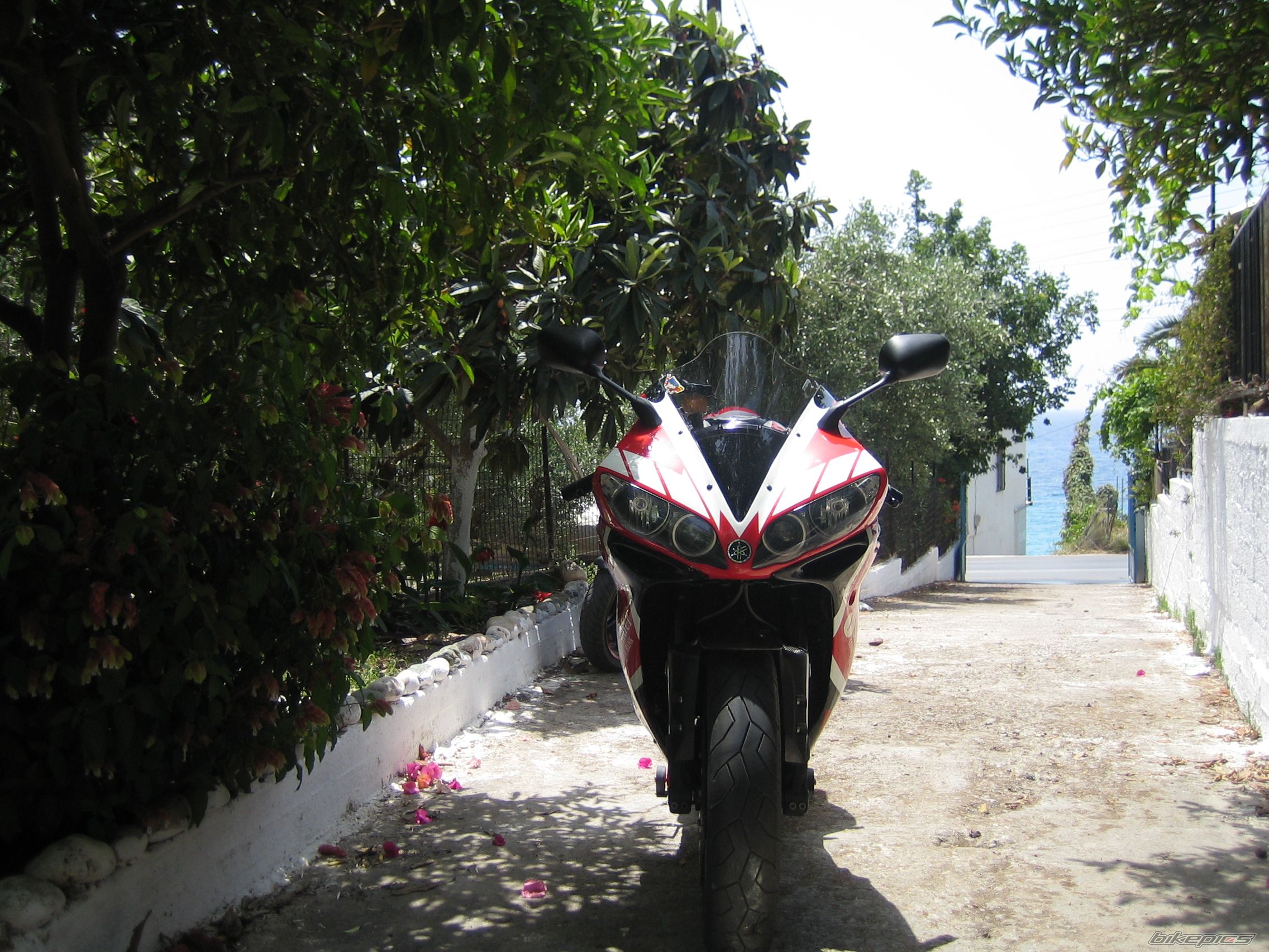 Photo 2004253