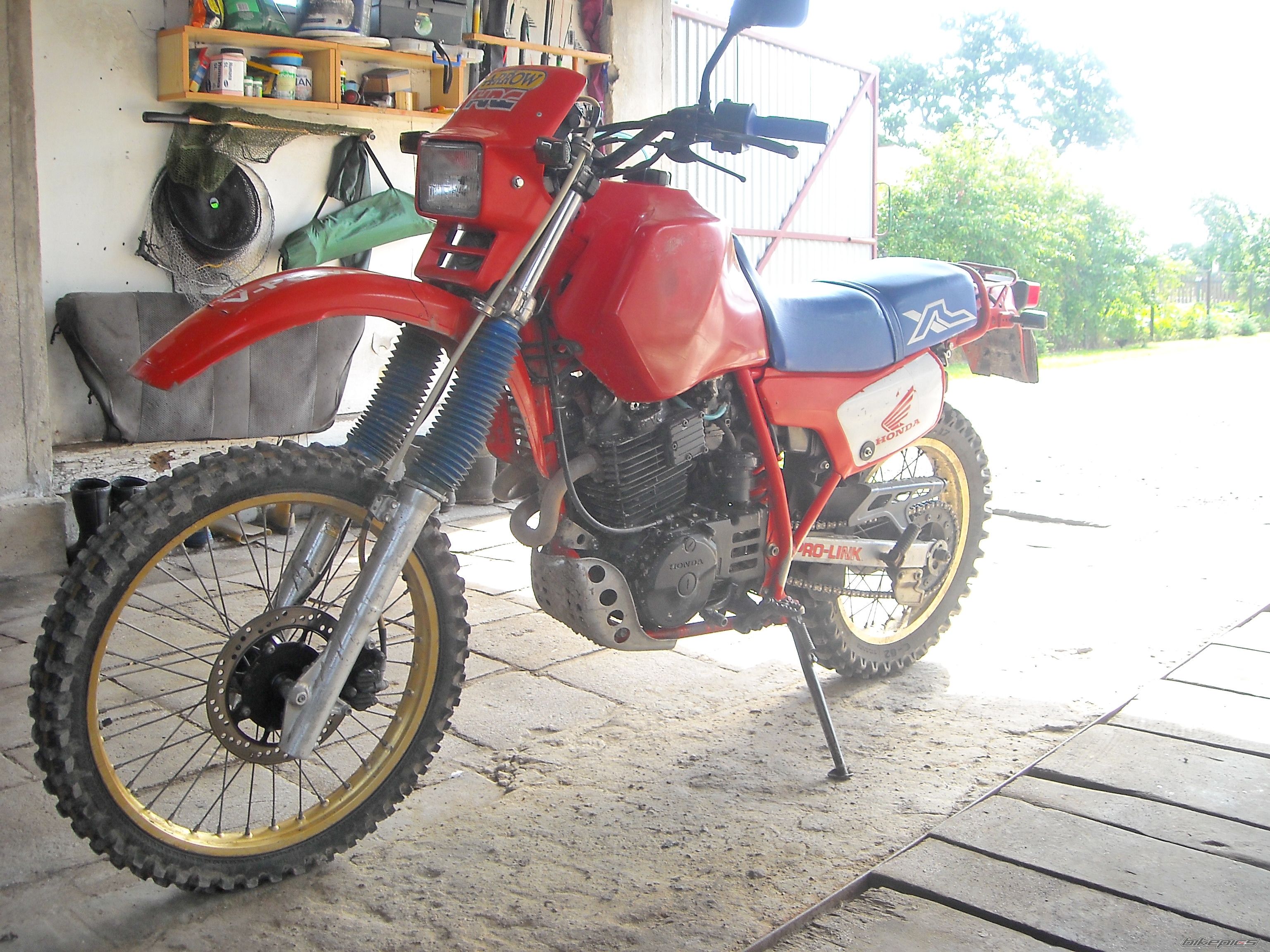 Photo 2004350