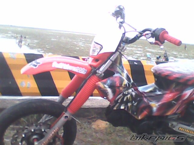 Photo 2004361