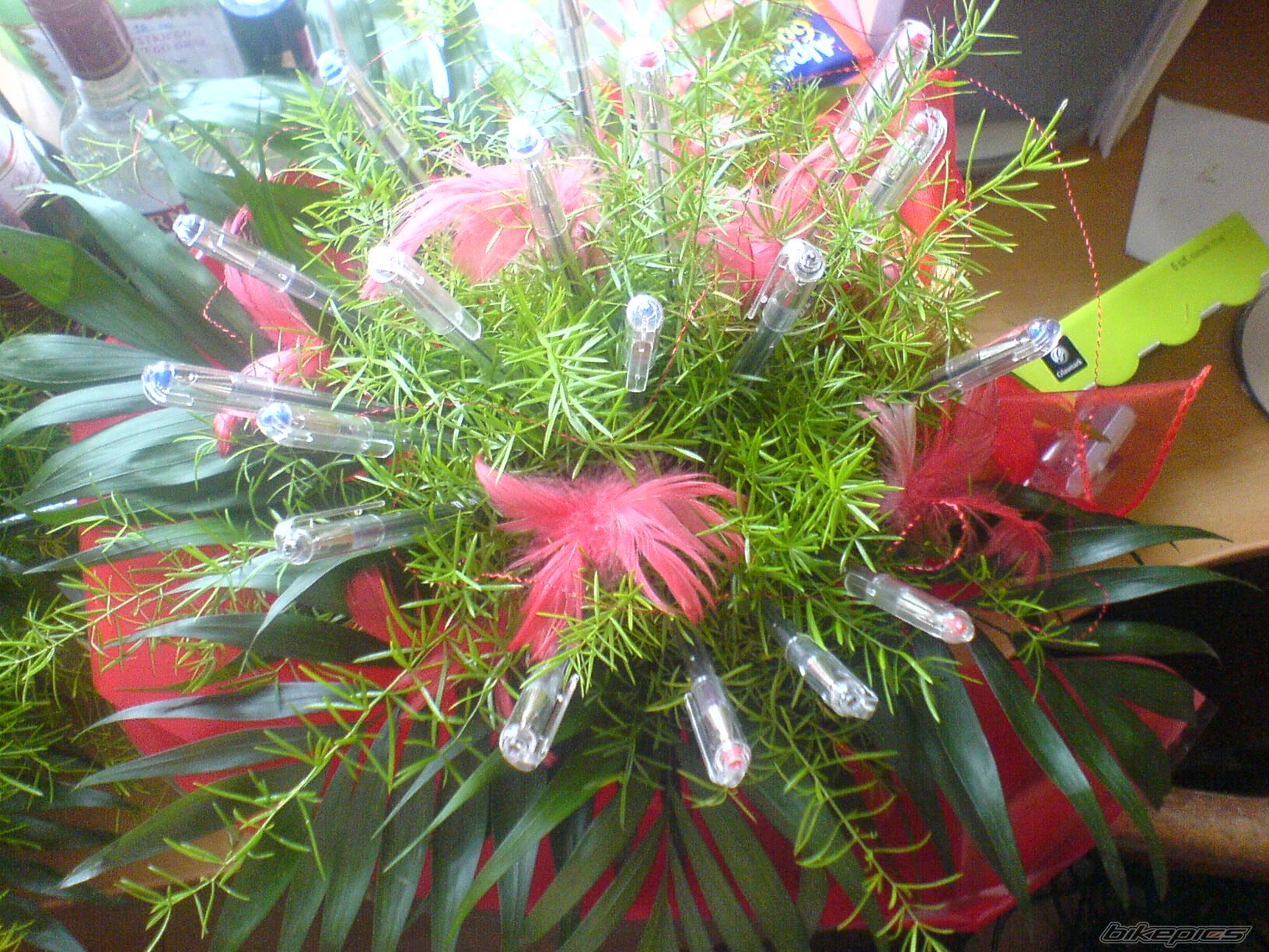 Photo 2004497