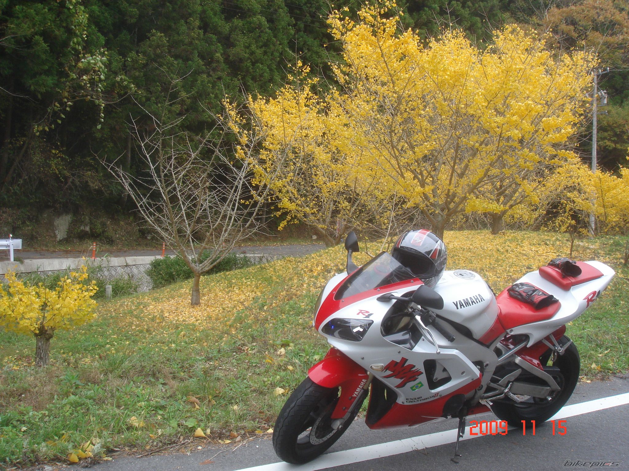 Bike Photo 2004506