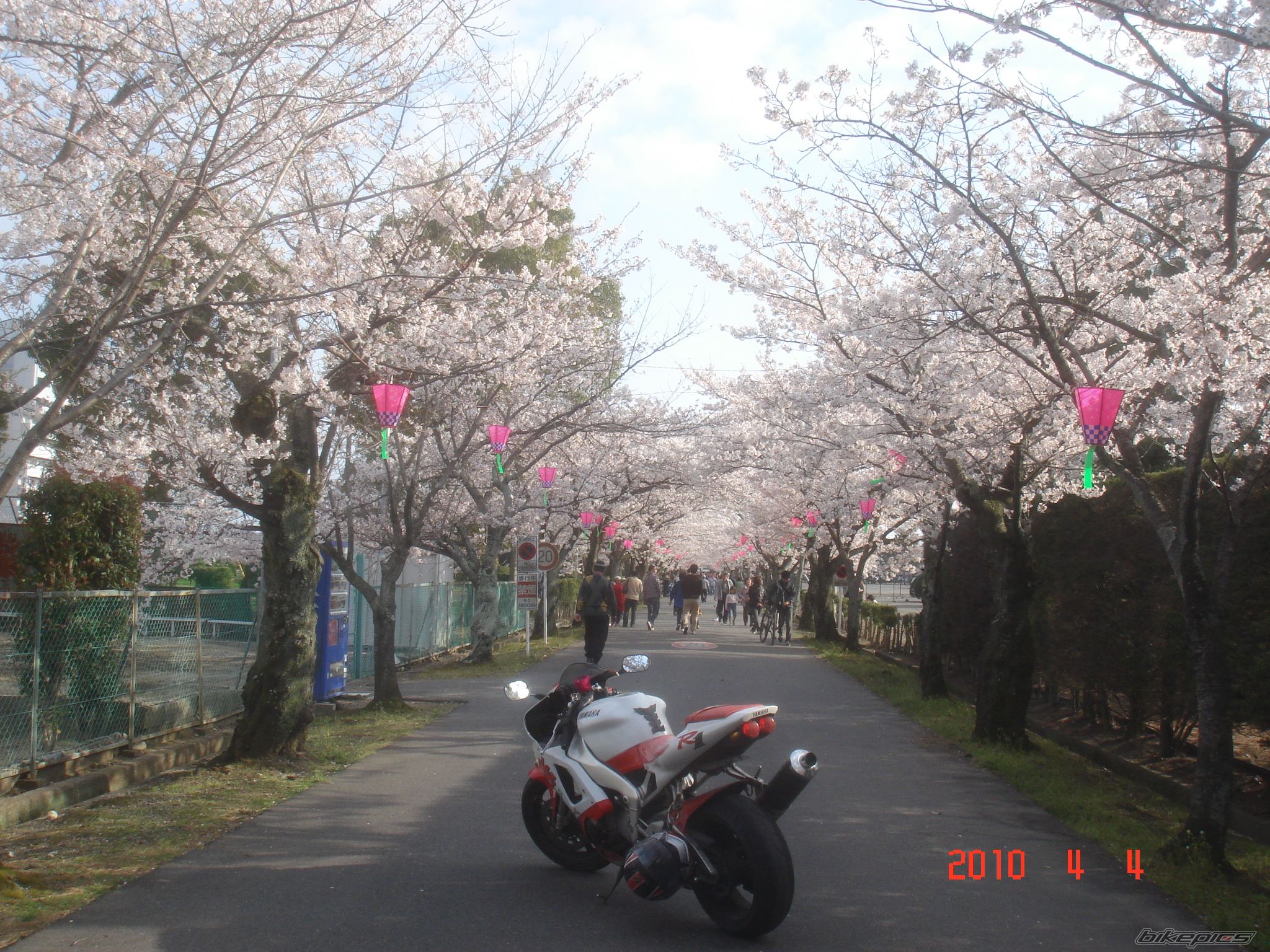 Bike Photo 2004514