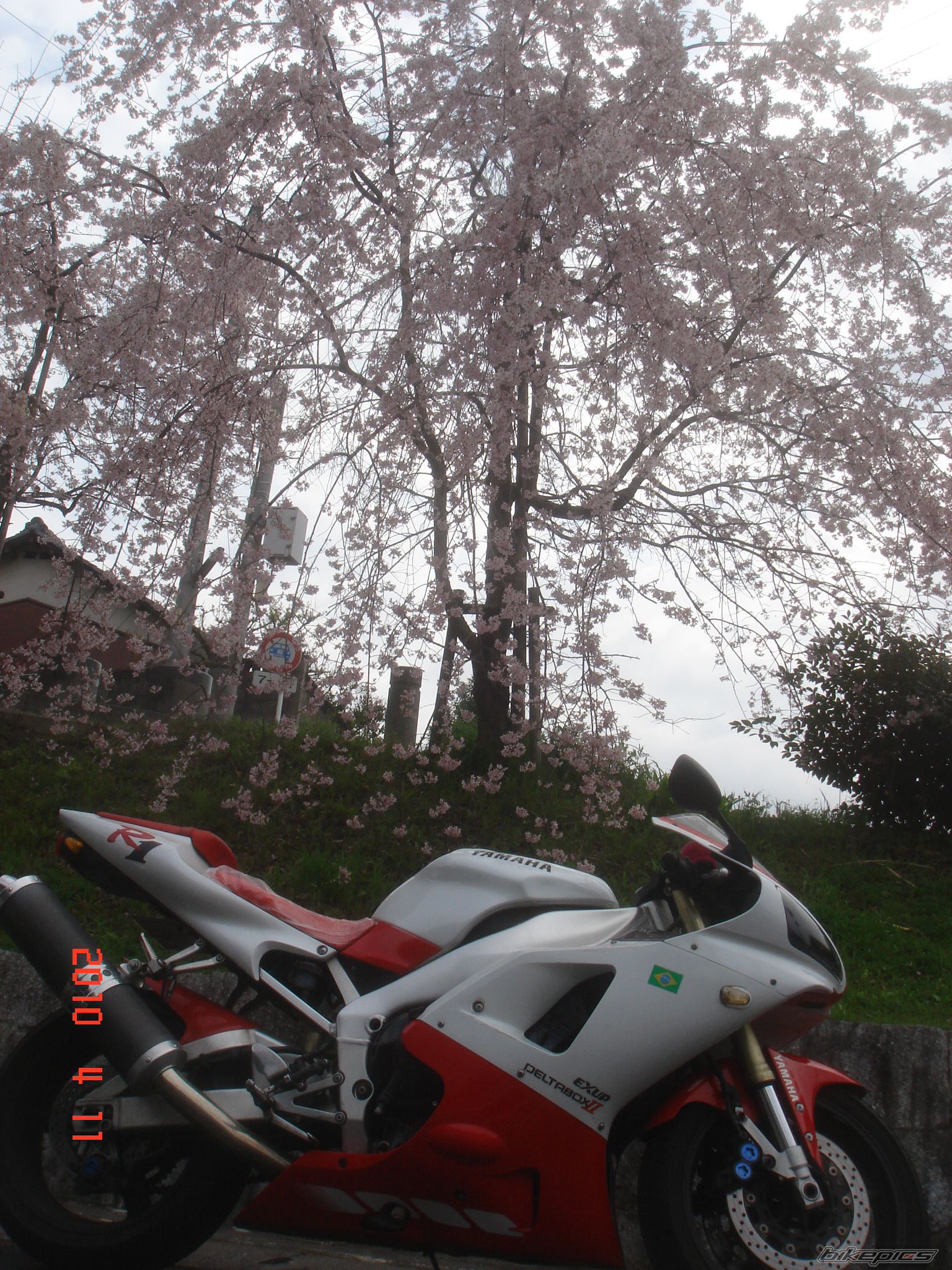 Bike Photo 2004519