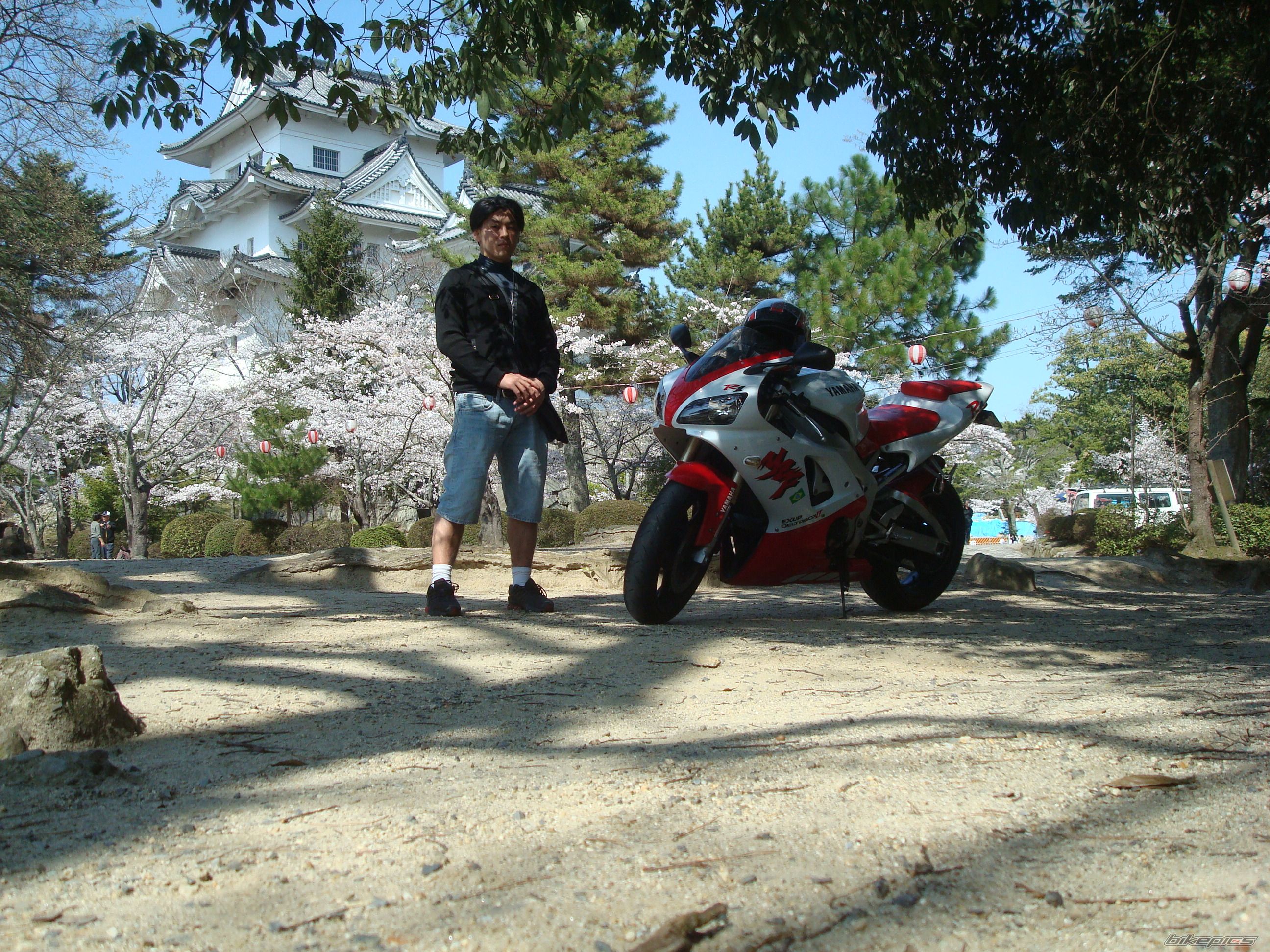 Bike Photo 2004534