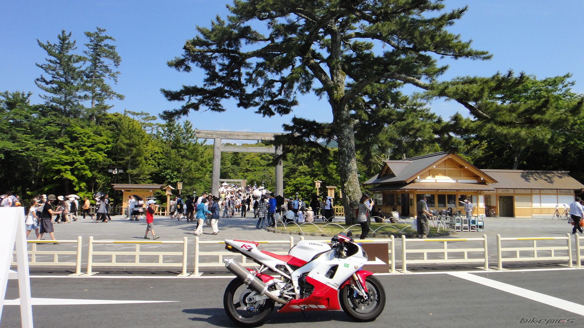 Bike Photo 2004566