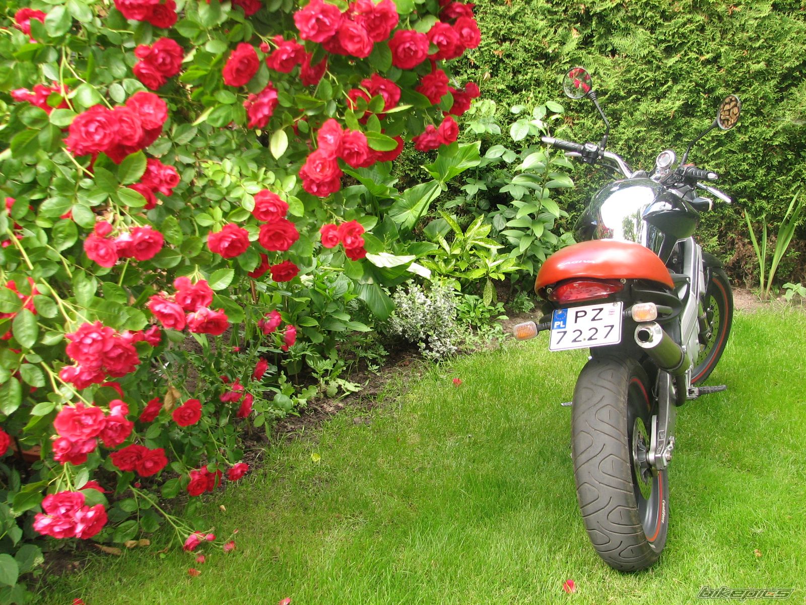 Photo 2004586