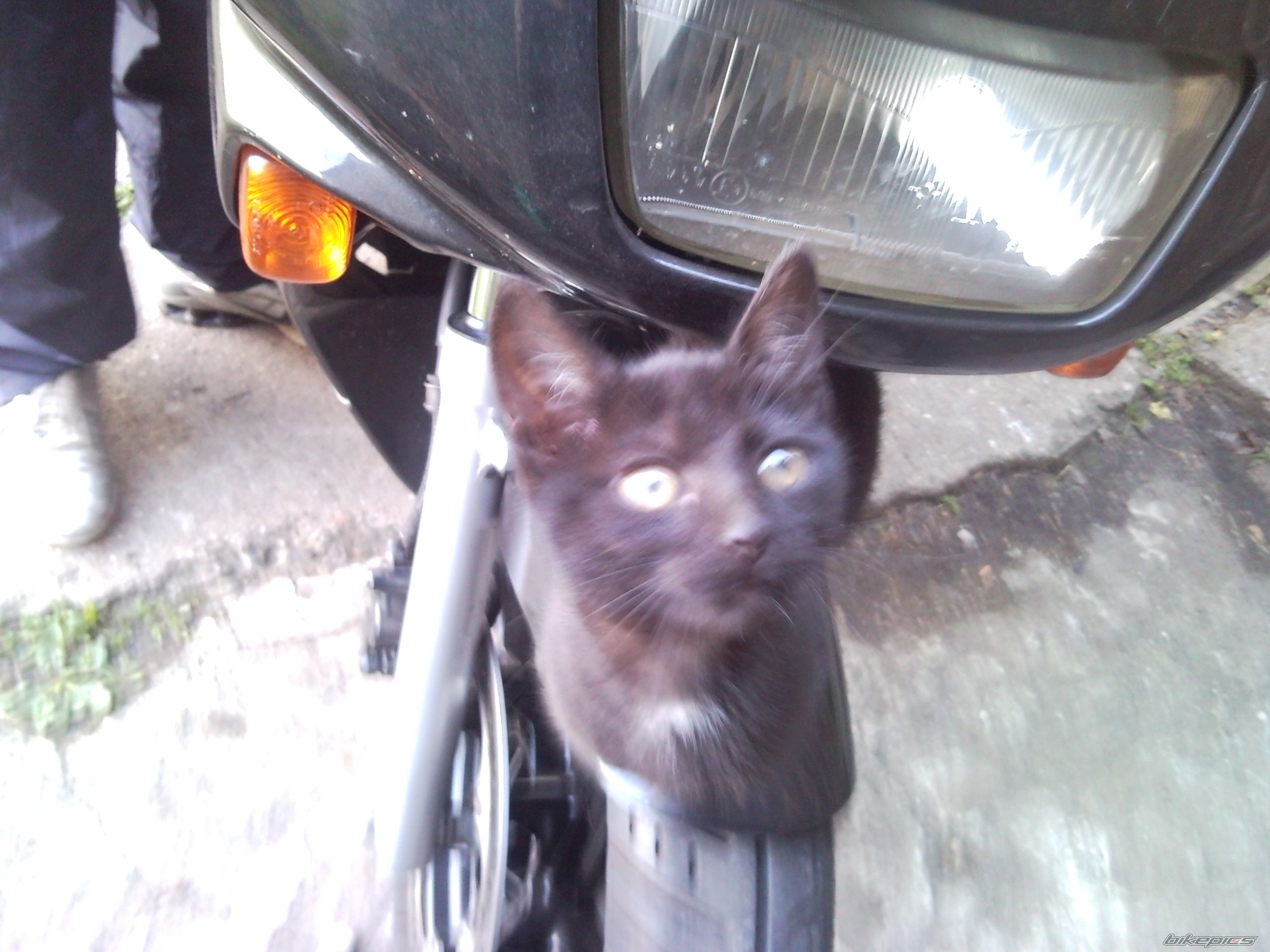 Photo 2004599