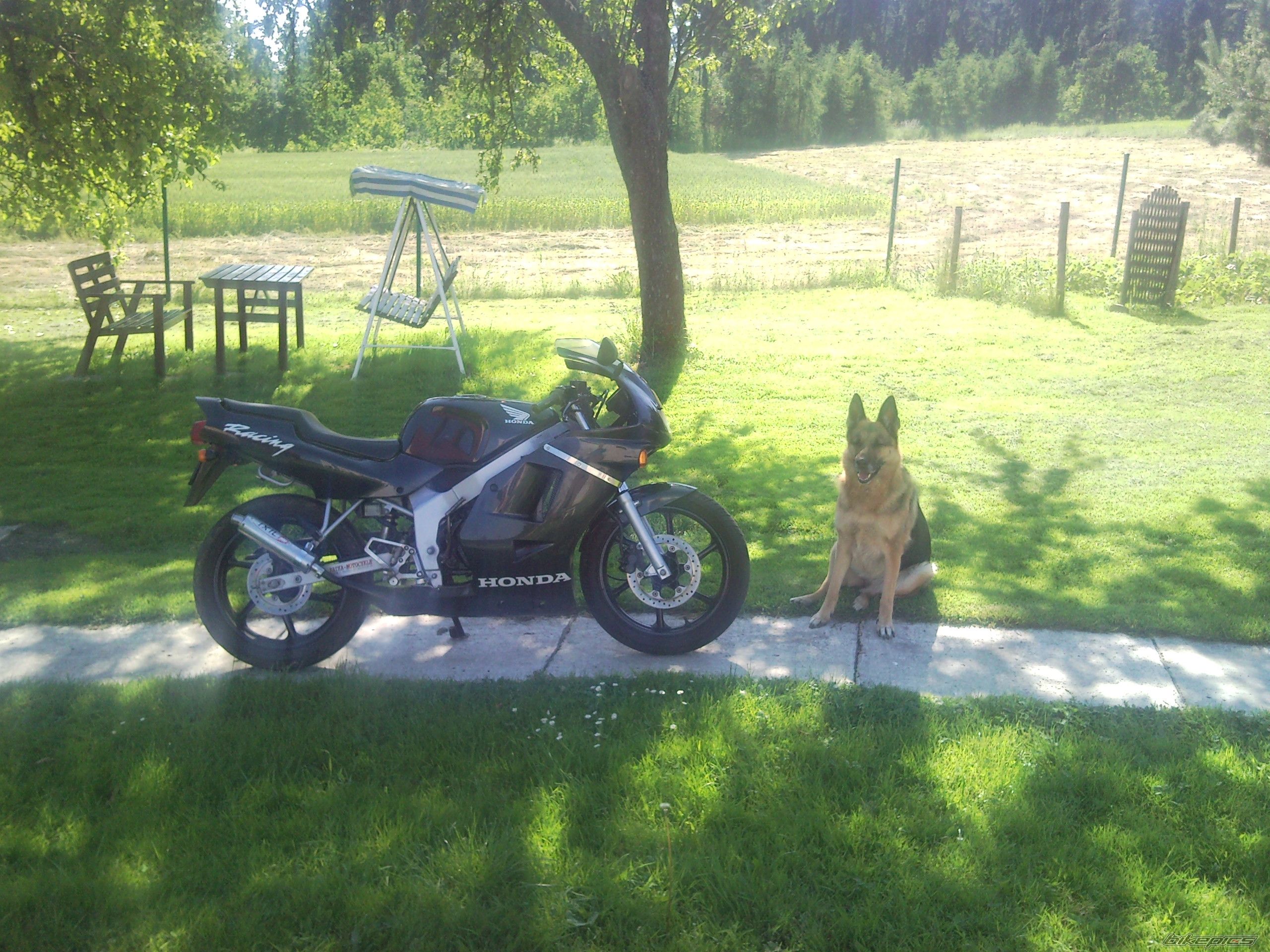 Photo 2004611