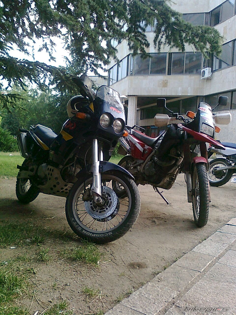 Photo 2004733