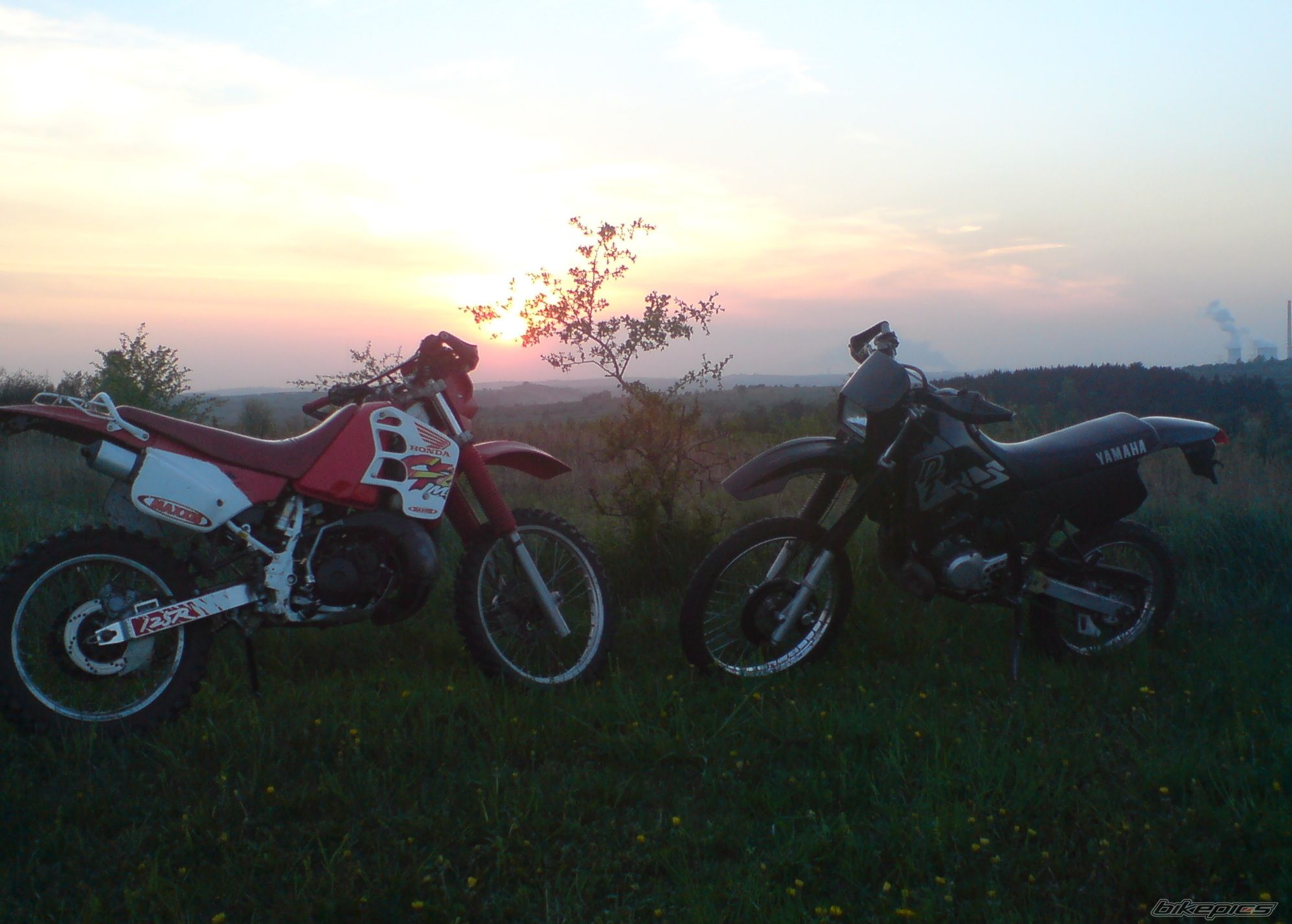 Photo 2004785