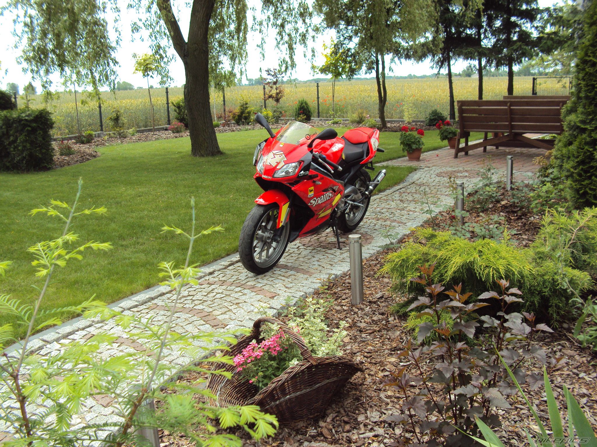 Bike Photo 2004794