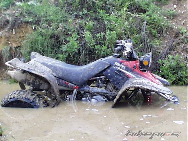 Photo 200481